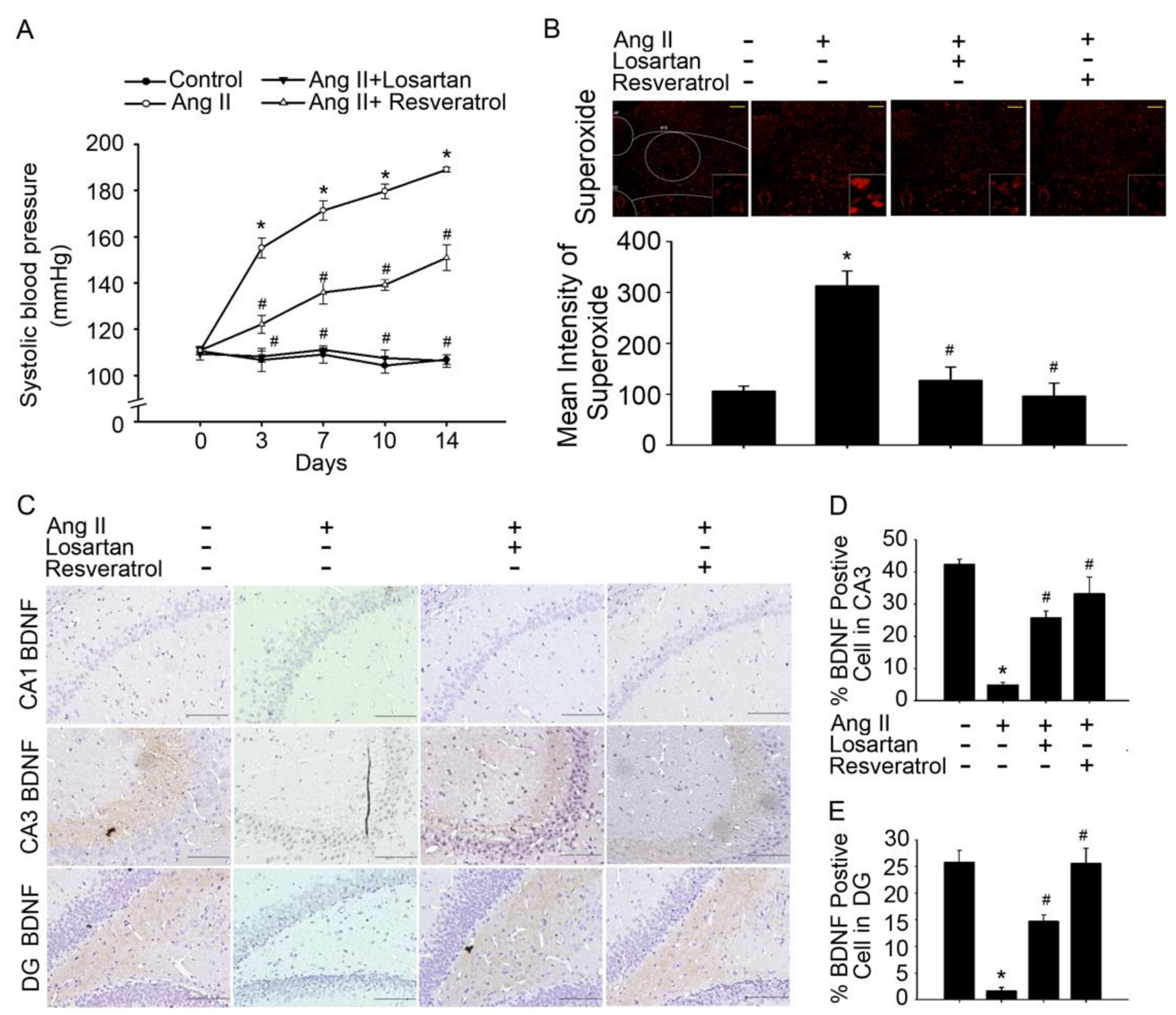 Jcm 07 00329 g001 Jcm 07 00329 g001