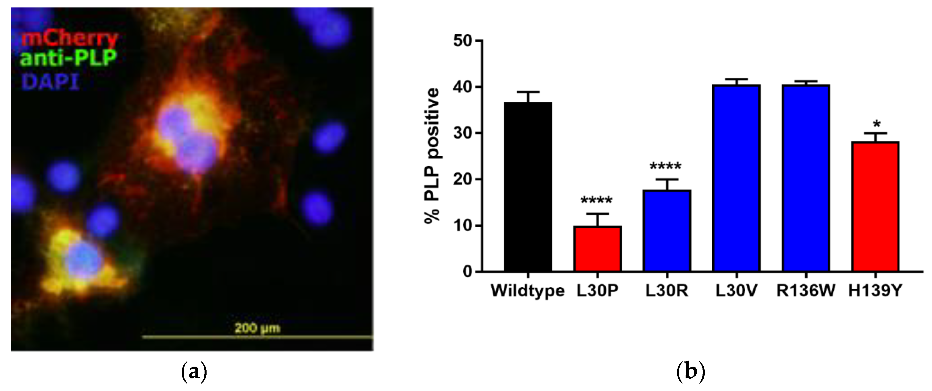 Jcm 07 00342 g002 Jcm 07 00342 g002