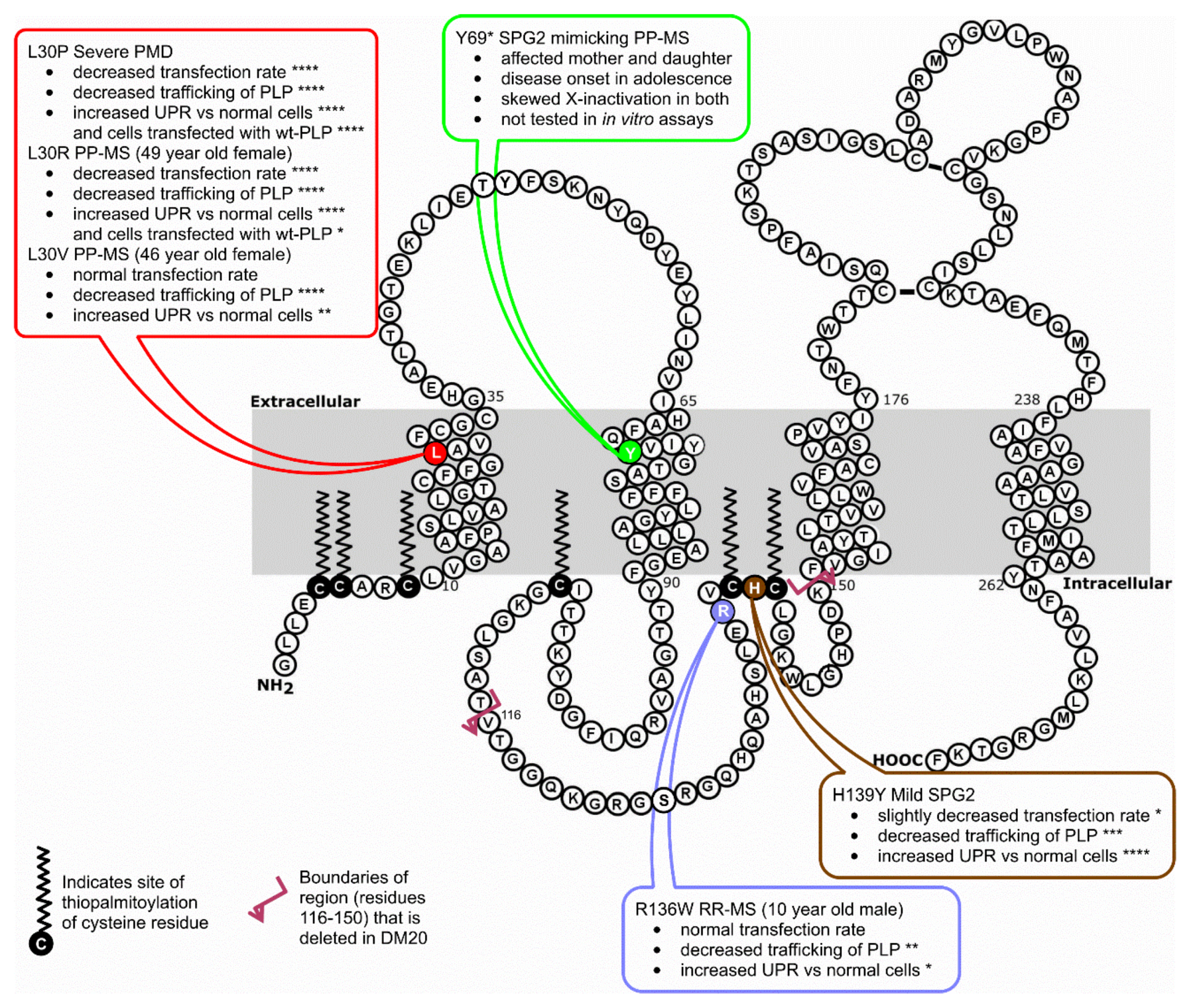 Jcm 07 00342 g005 Jcm 07 00342 g005