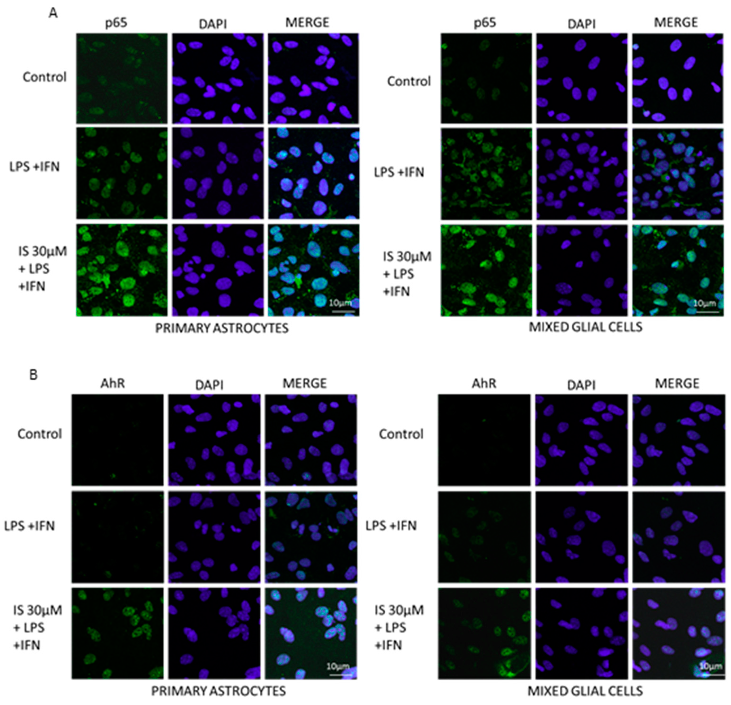 Jcm 07 00365 g005 Jcm 07 00365 g005