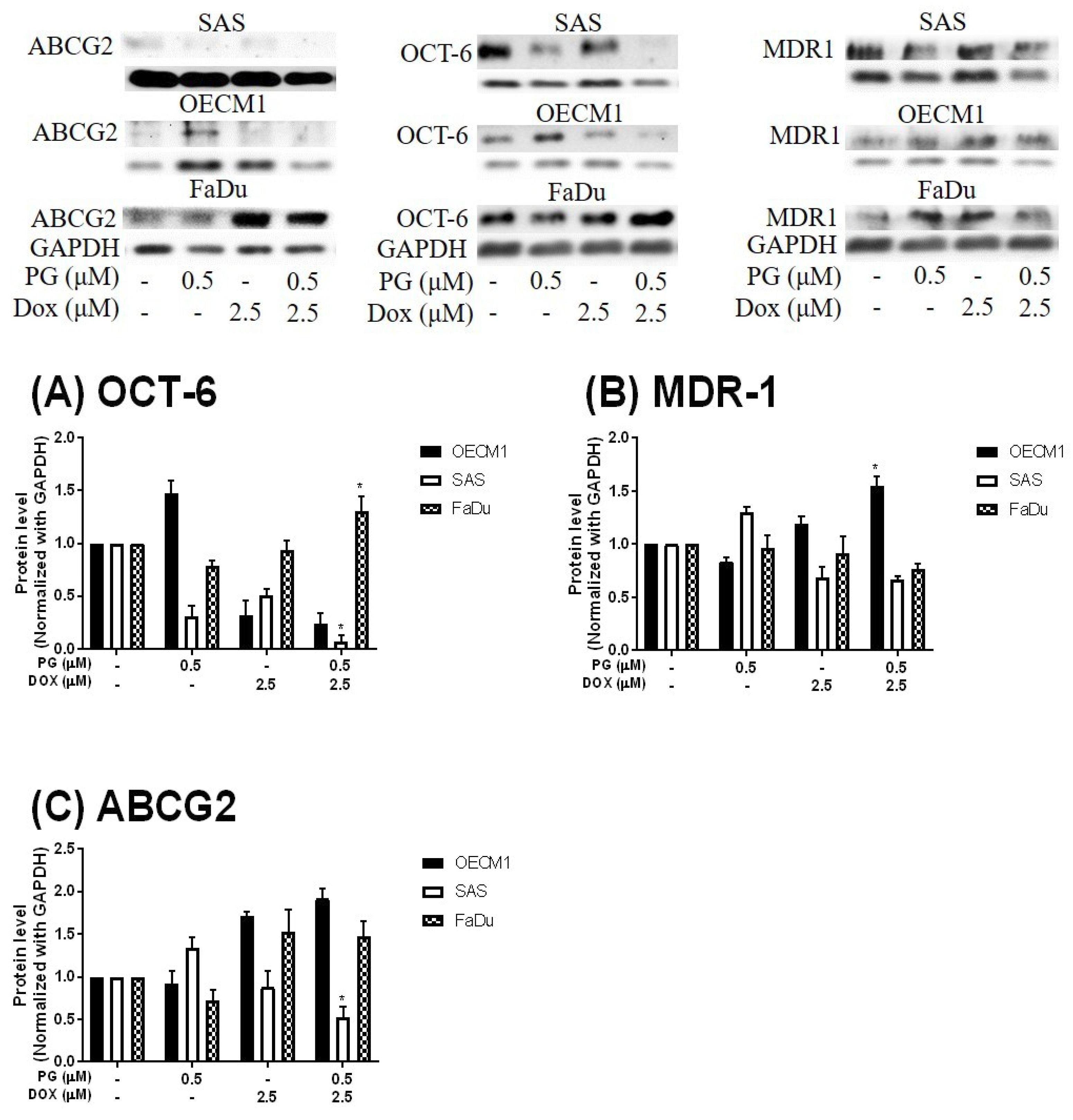 Jcm 07 00375 g006 Jcm 07 00375 g006