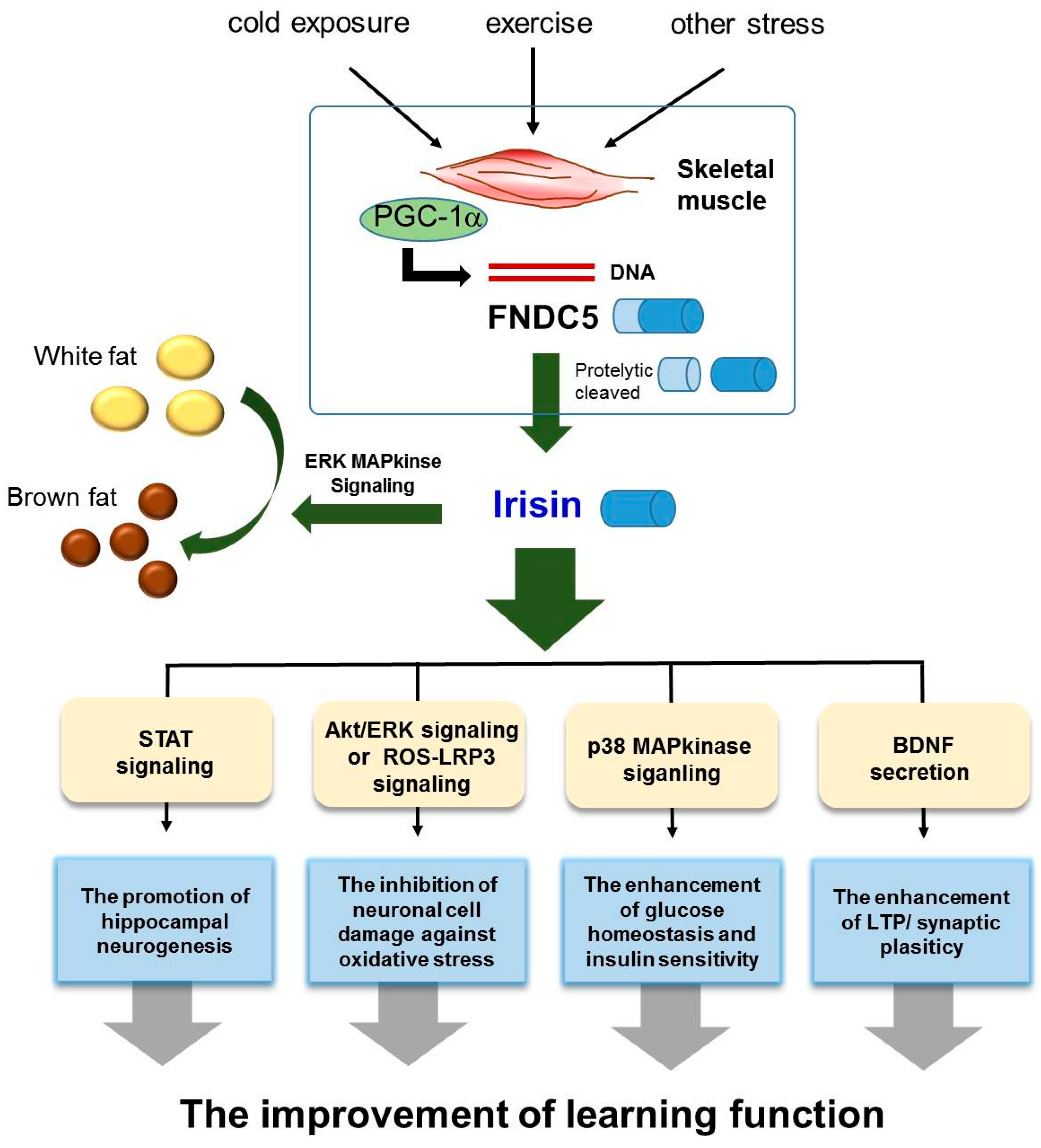 Jcm 07 00407 g001 Jcm 07 00407 g001