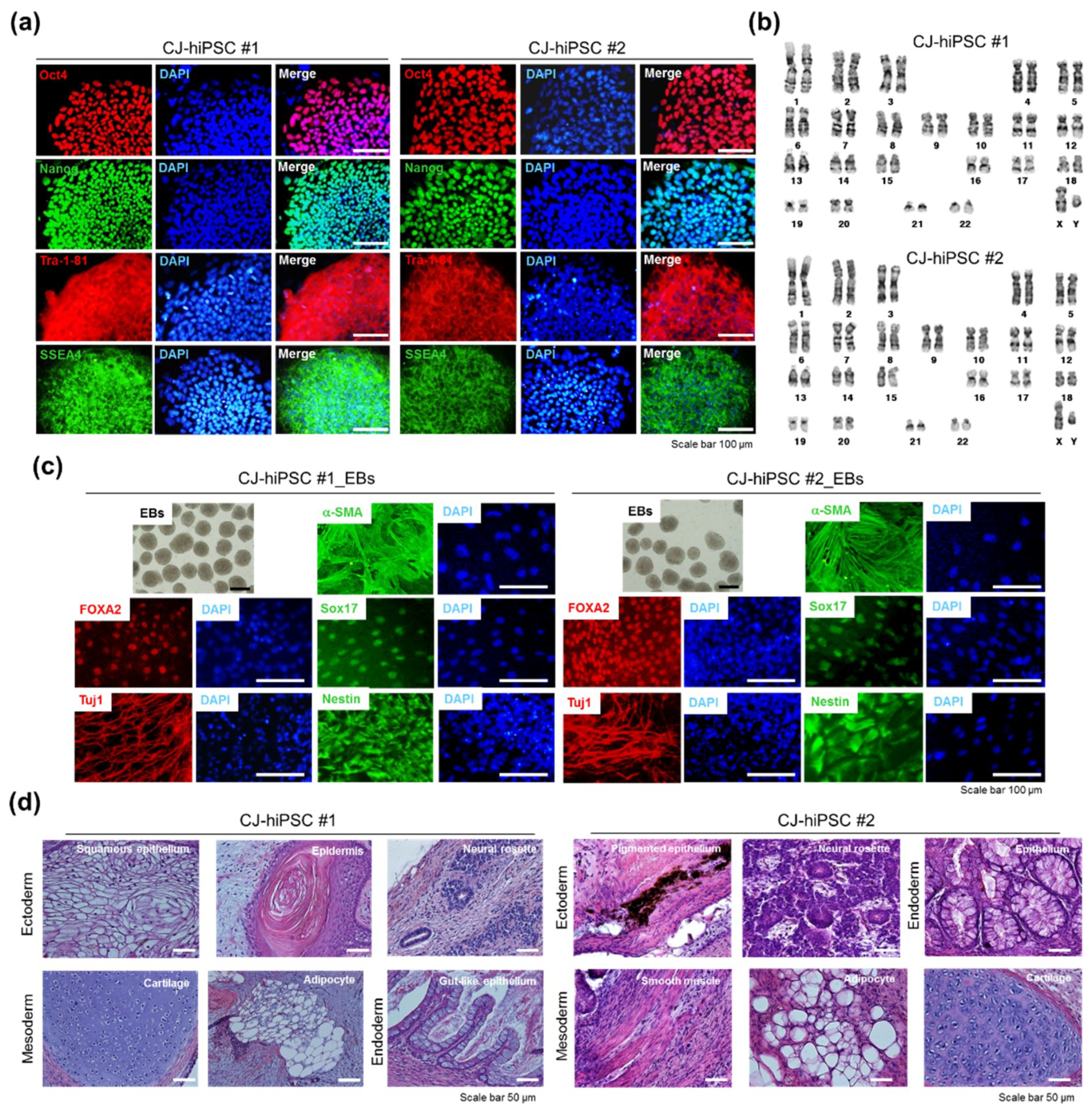 Jcm 07 00449 g004 Jcm 07 00449 g004