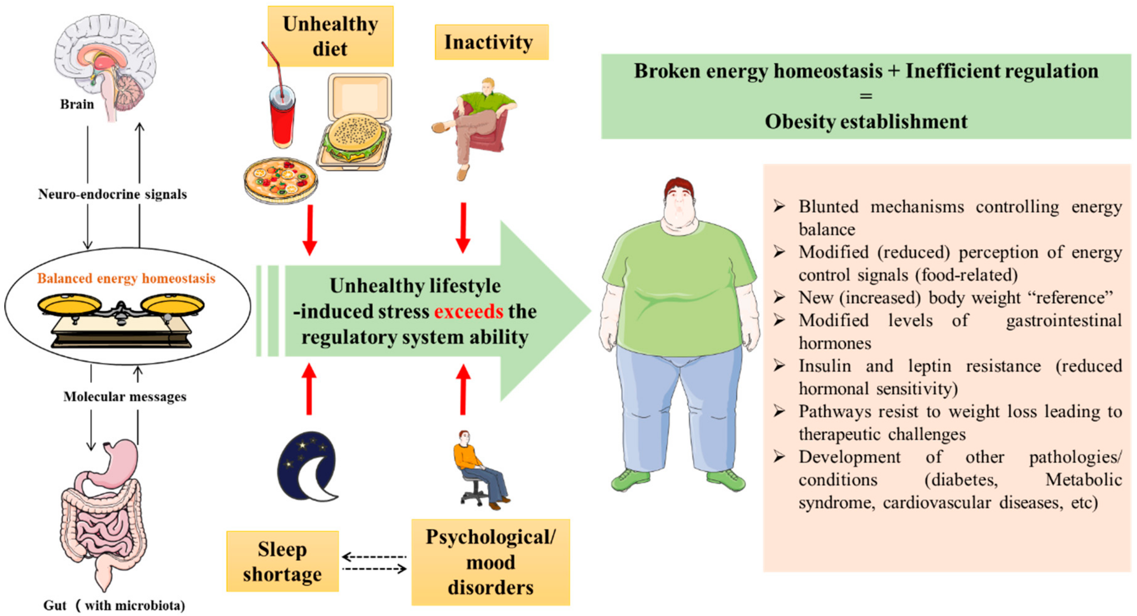 Human being diet