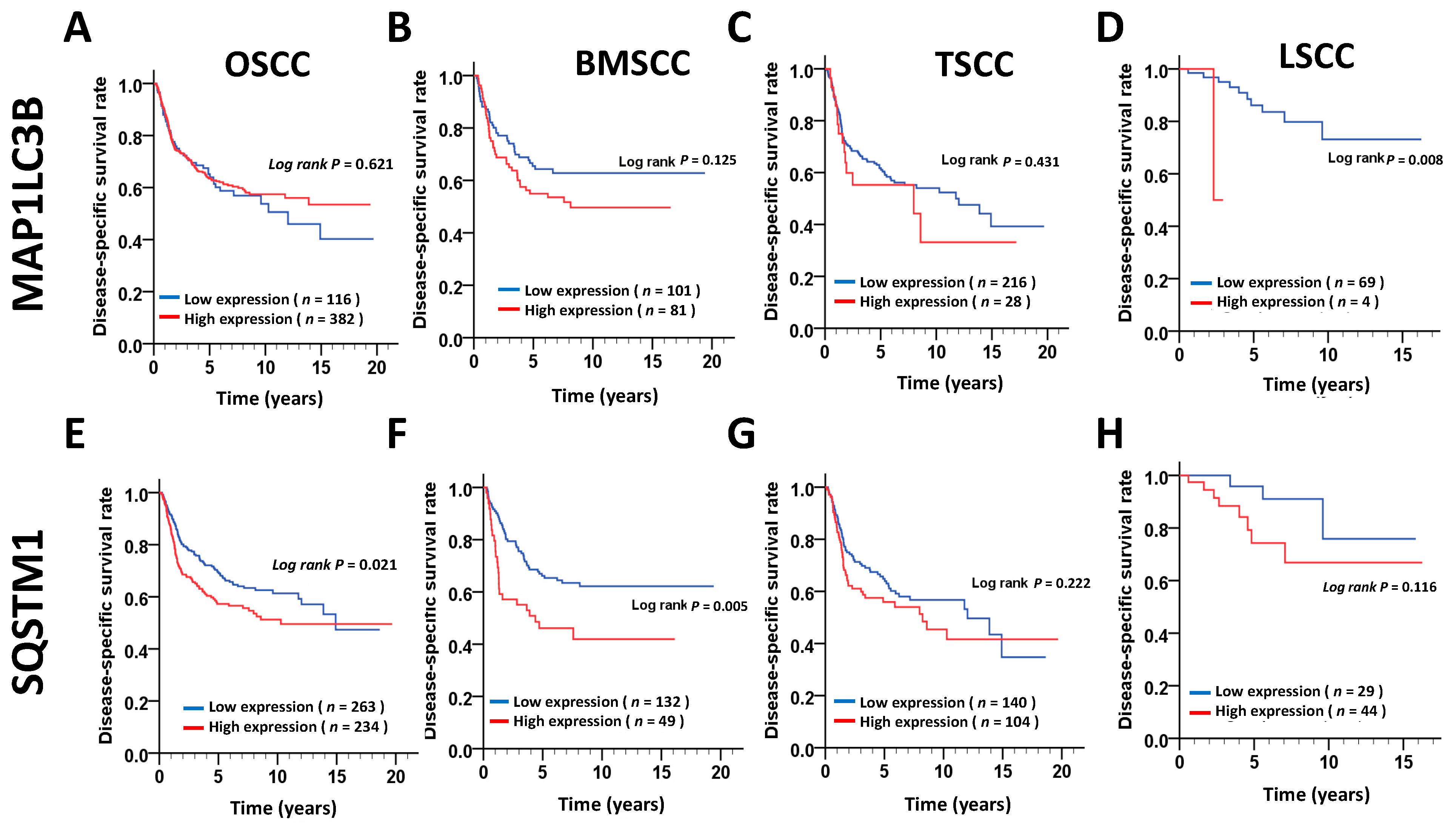 Jcm 07 00478 g002 Jcm 07 00478 g002