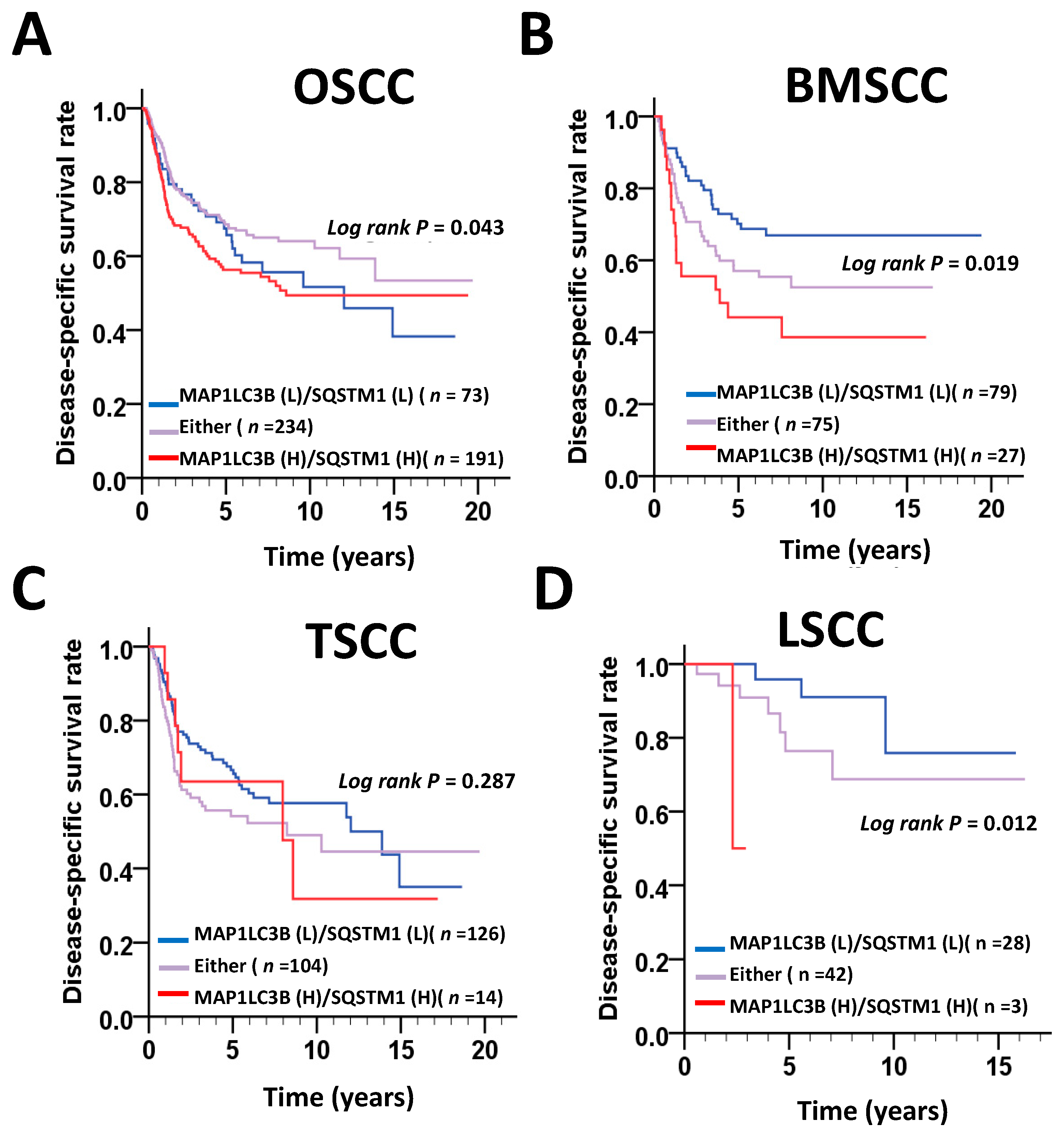 Jcm 07 00478 g003 Jcm 07 00478 g003