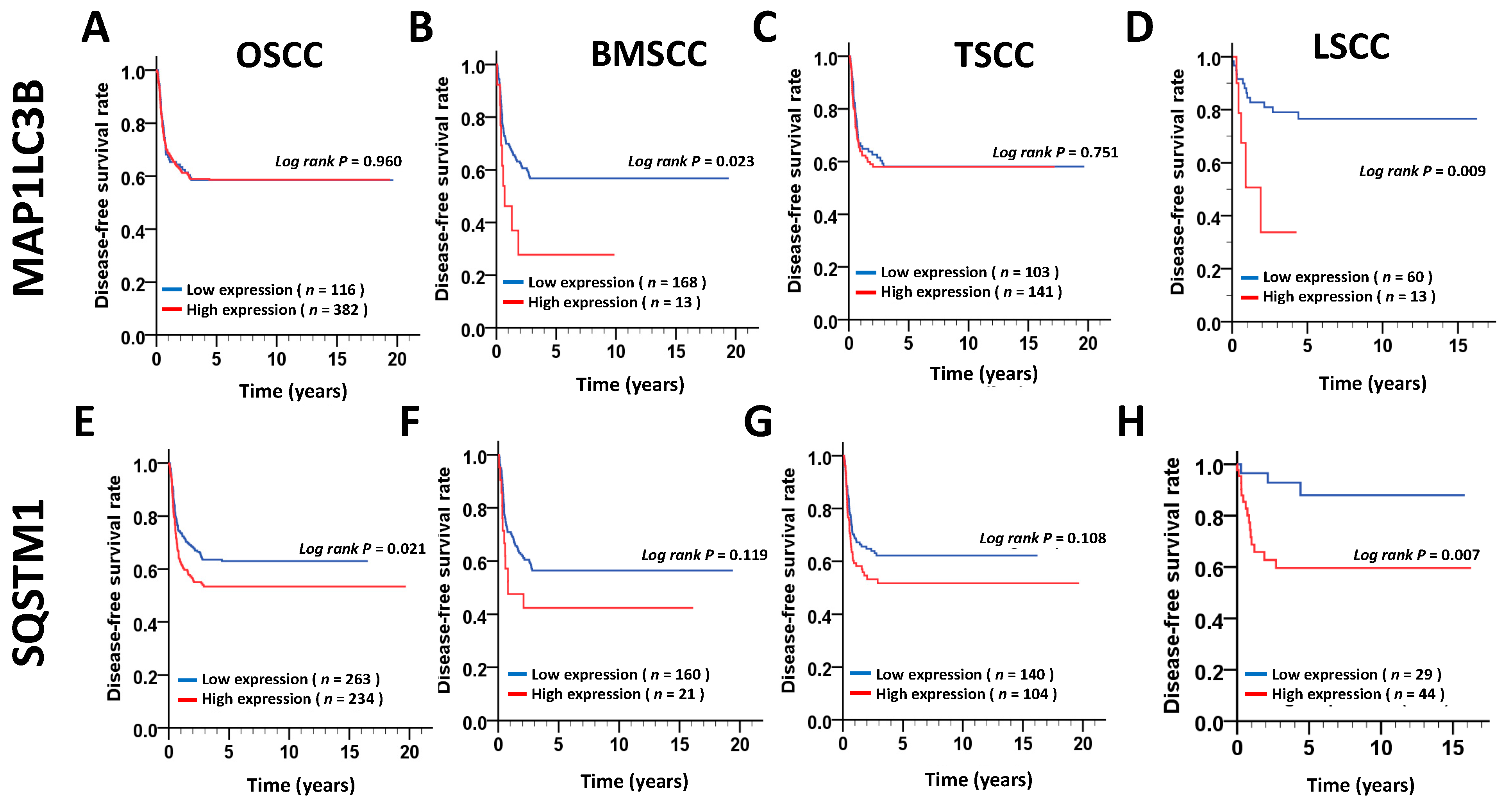 Jcm 07 00478 g004 Jcm 07 00478 g004