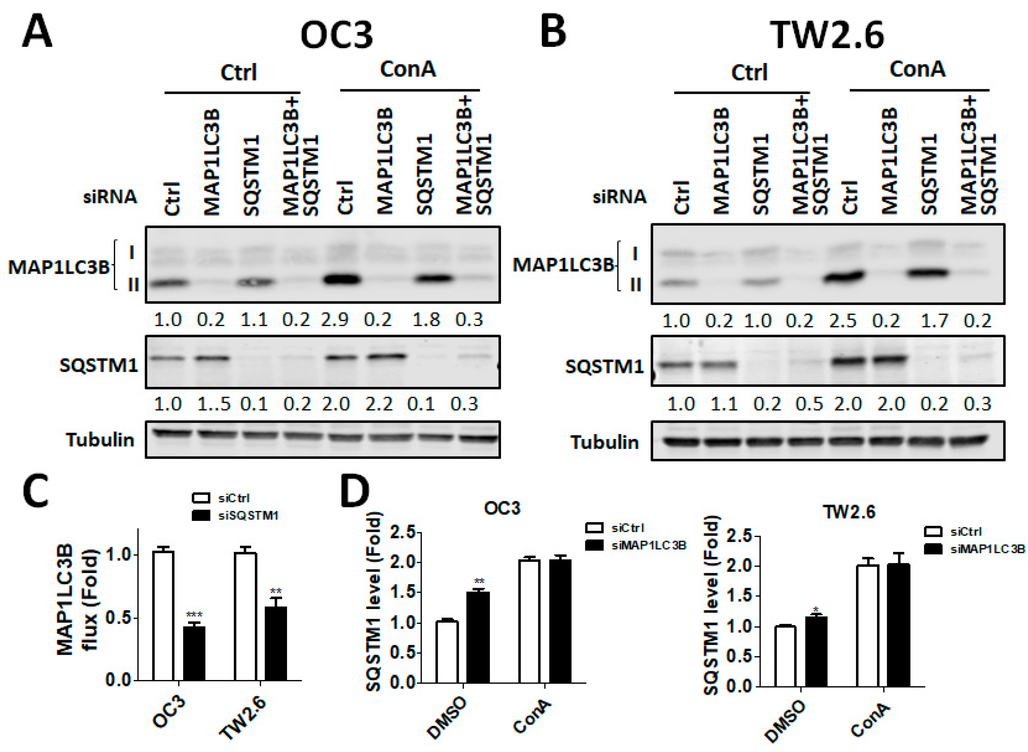 Jcm 07 00478 g006 Jcm 07 00478 g006