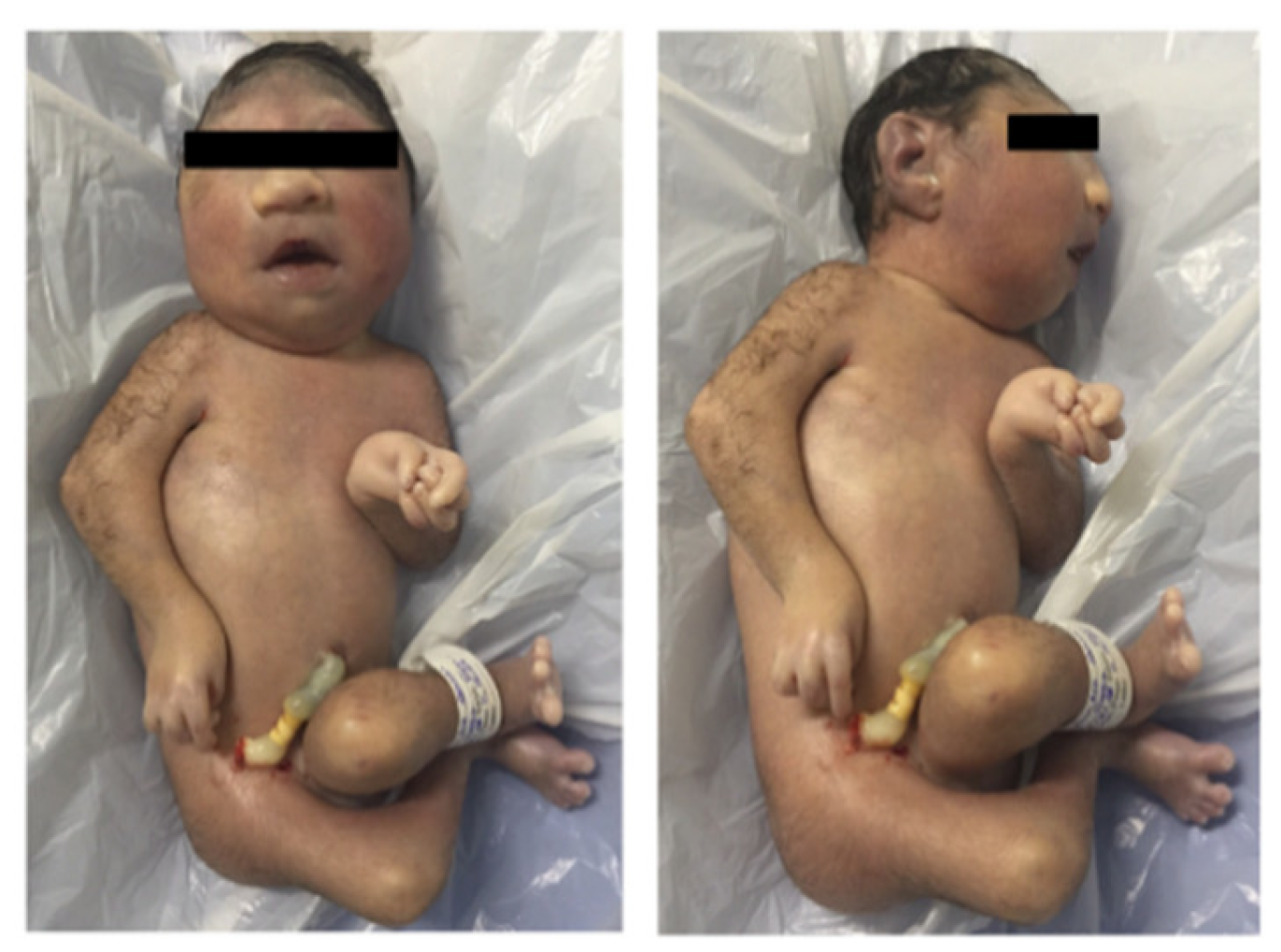 Jcm 07 00496 g003 Jcm 07 00496 g003