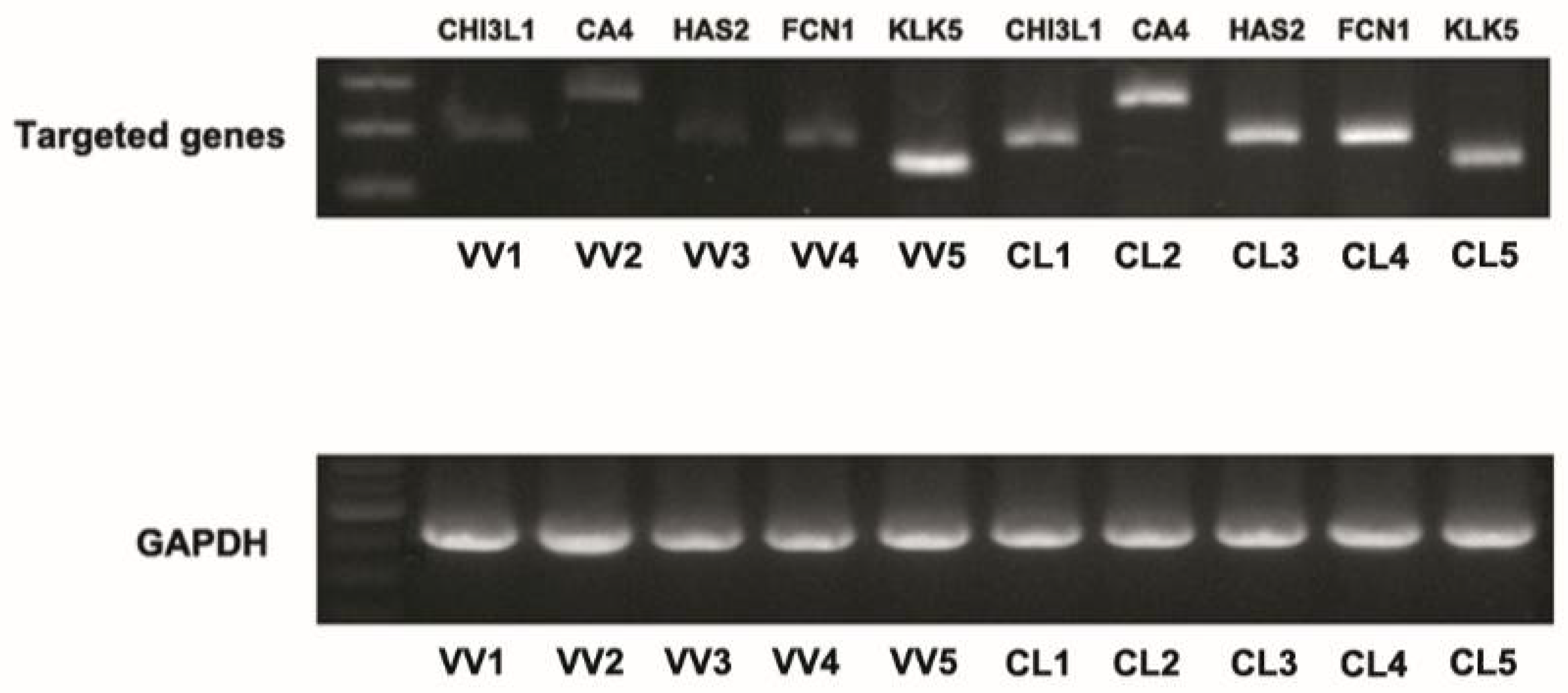 Jcm 07 00537 g002 Jcm 07 00537 g002
