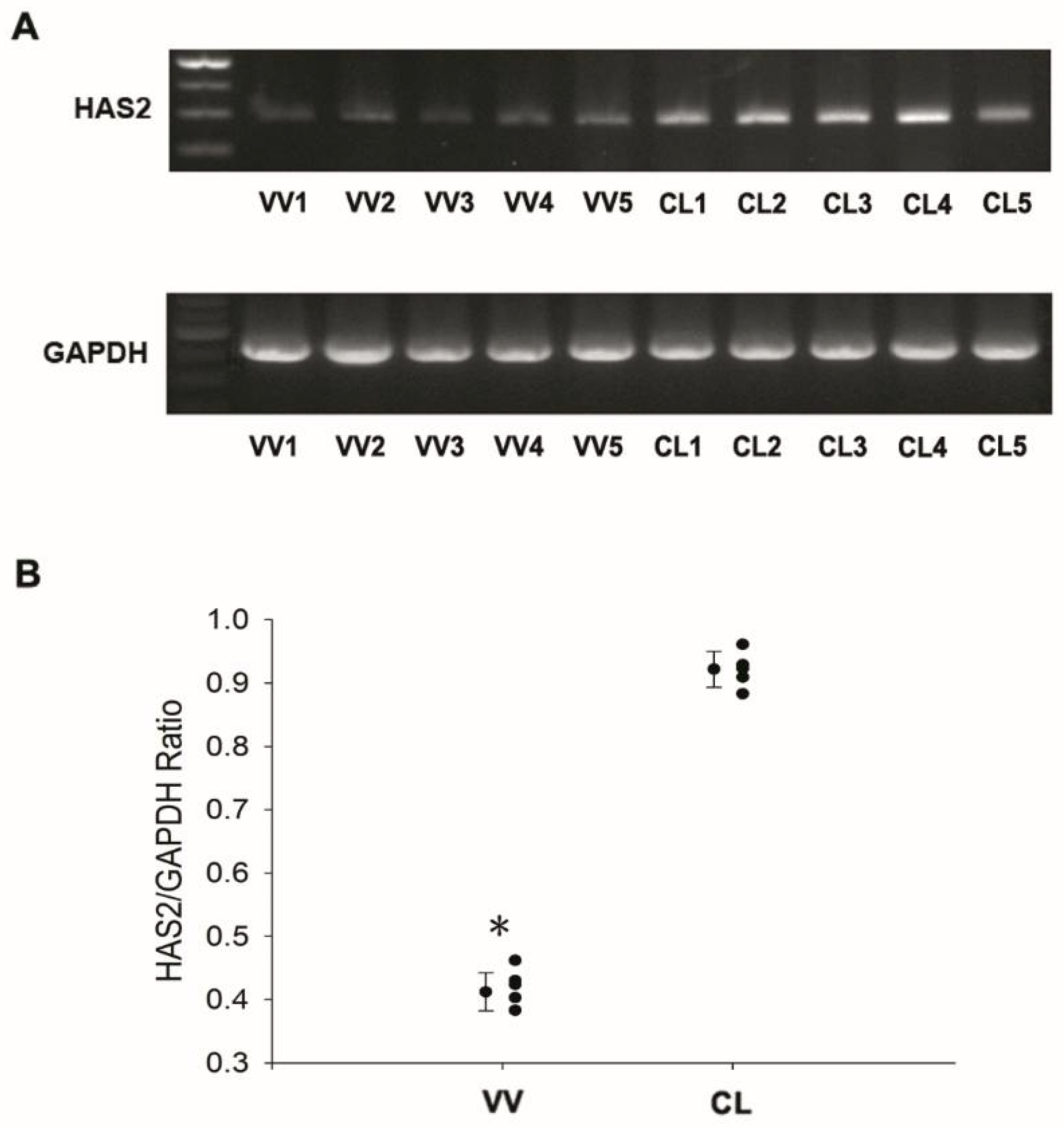 Jcm 07 00537 g003 Jcm 07 00537 g003