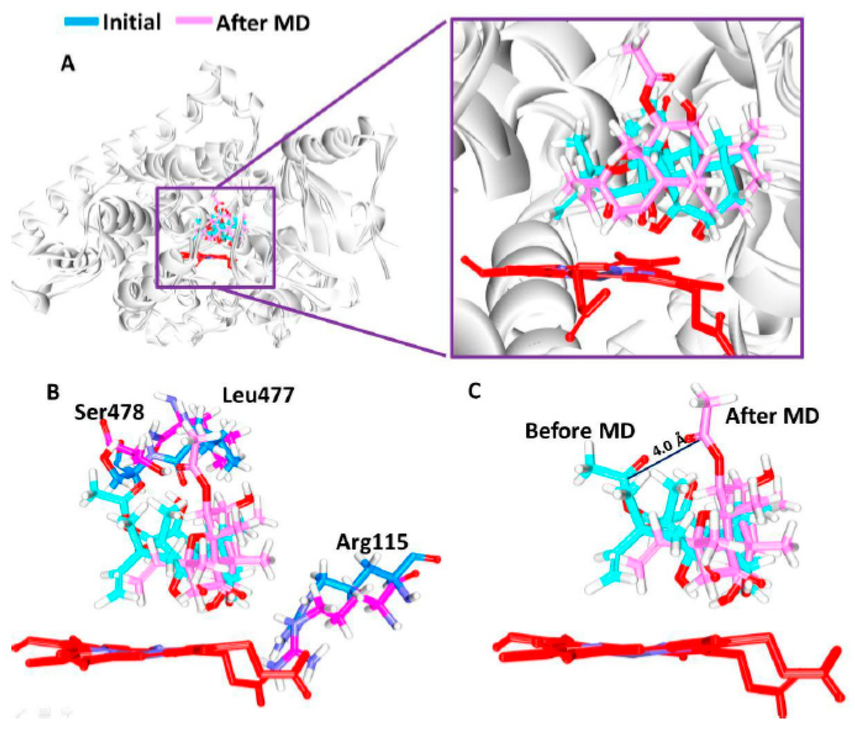 Jcm 07 00551 g002 Jcm 07 00551 g002