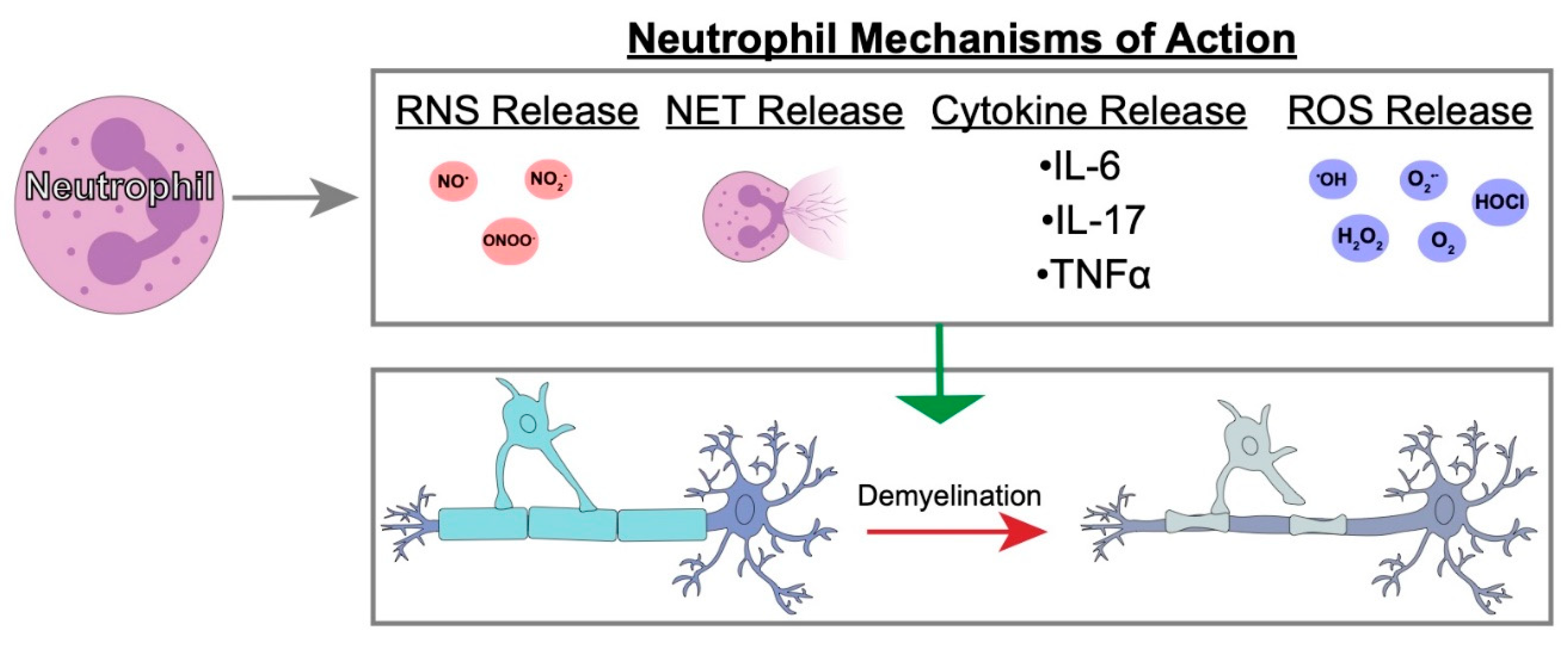Jcm 08 00003 g003 Jcm 08 00003 g003