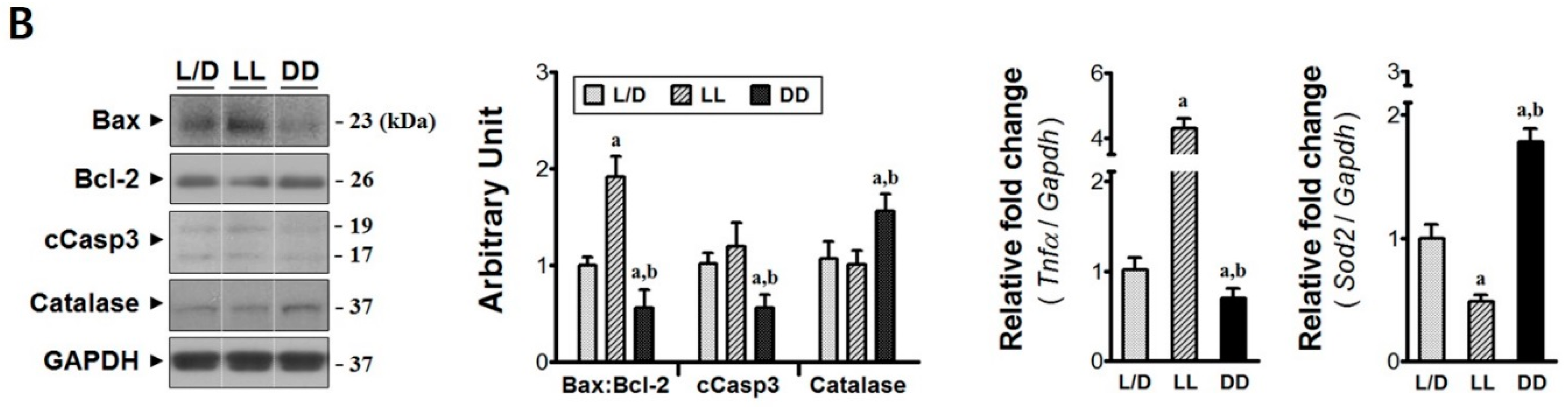 Jcm 08 00135 g003b Jcm 08 00135 g003b