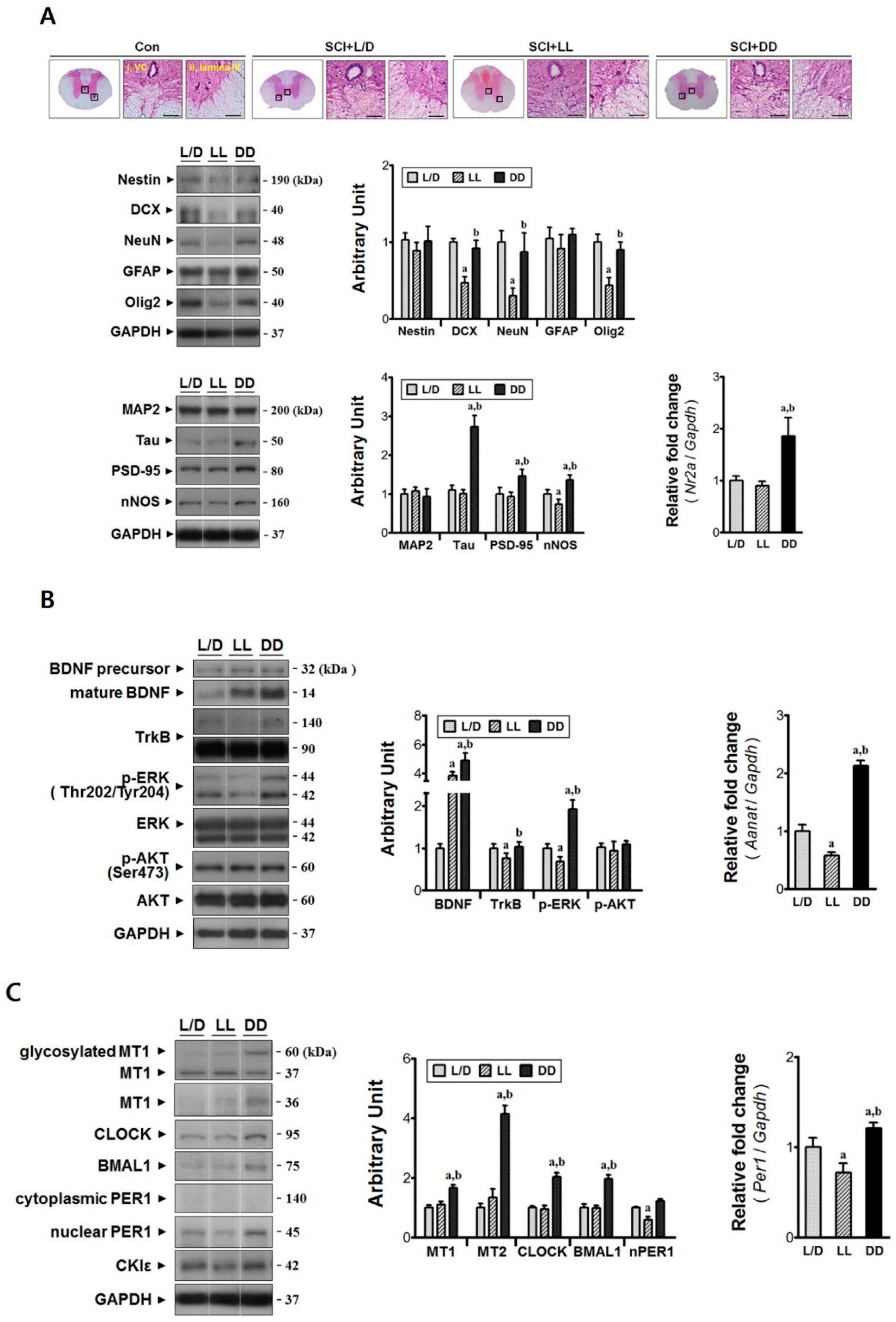 Jcm 08 00135 g004 Jcm 08 00135 g004