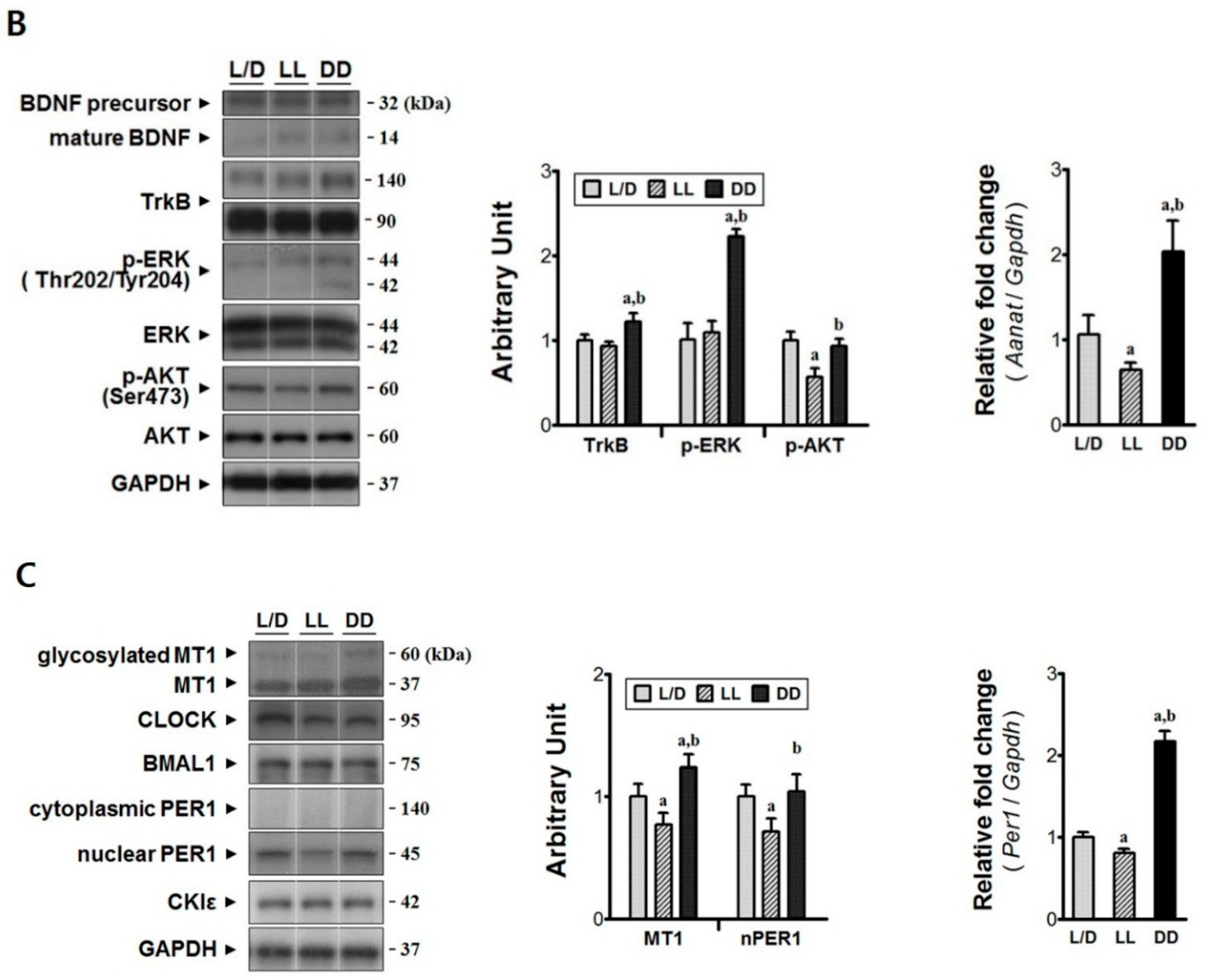 Jcm 08 00135 g005b Jcm 08 00135 g005b