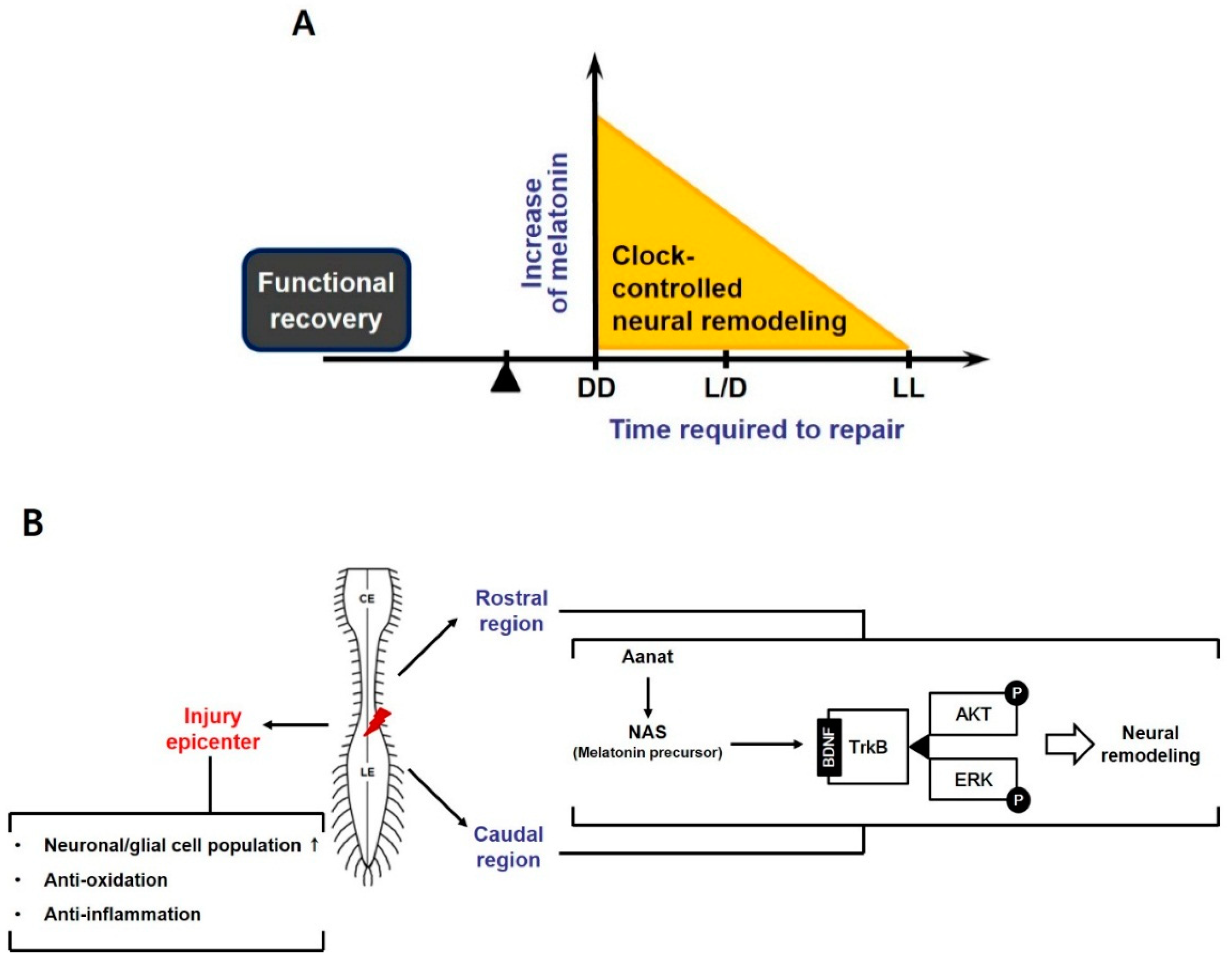 Jcm 08 00135 g007 Jcm 08 00135 g007
