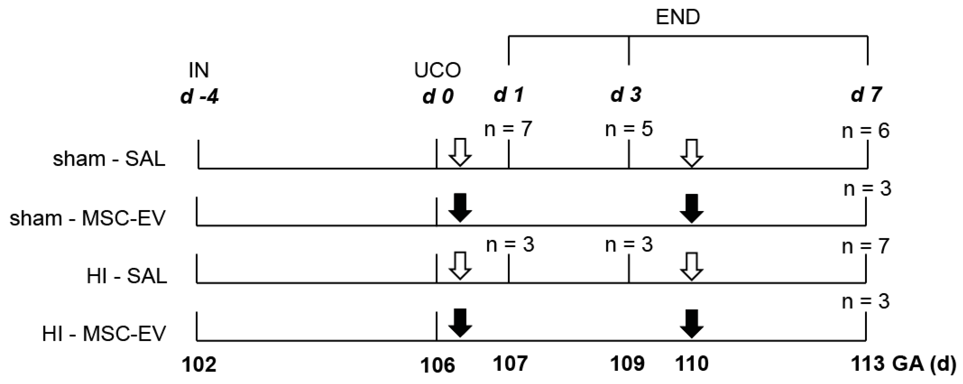 Jcm 08 00137 g001 Jcm 08 00137 g001