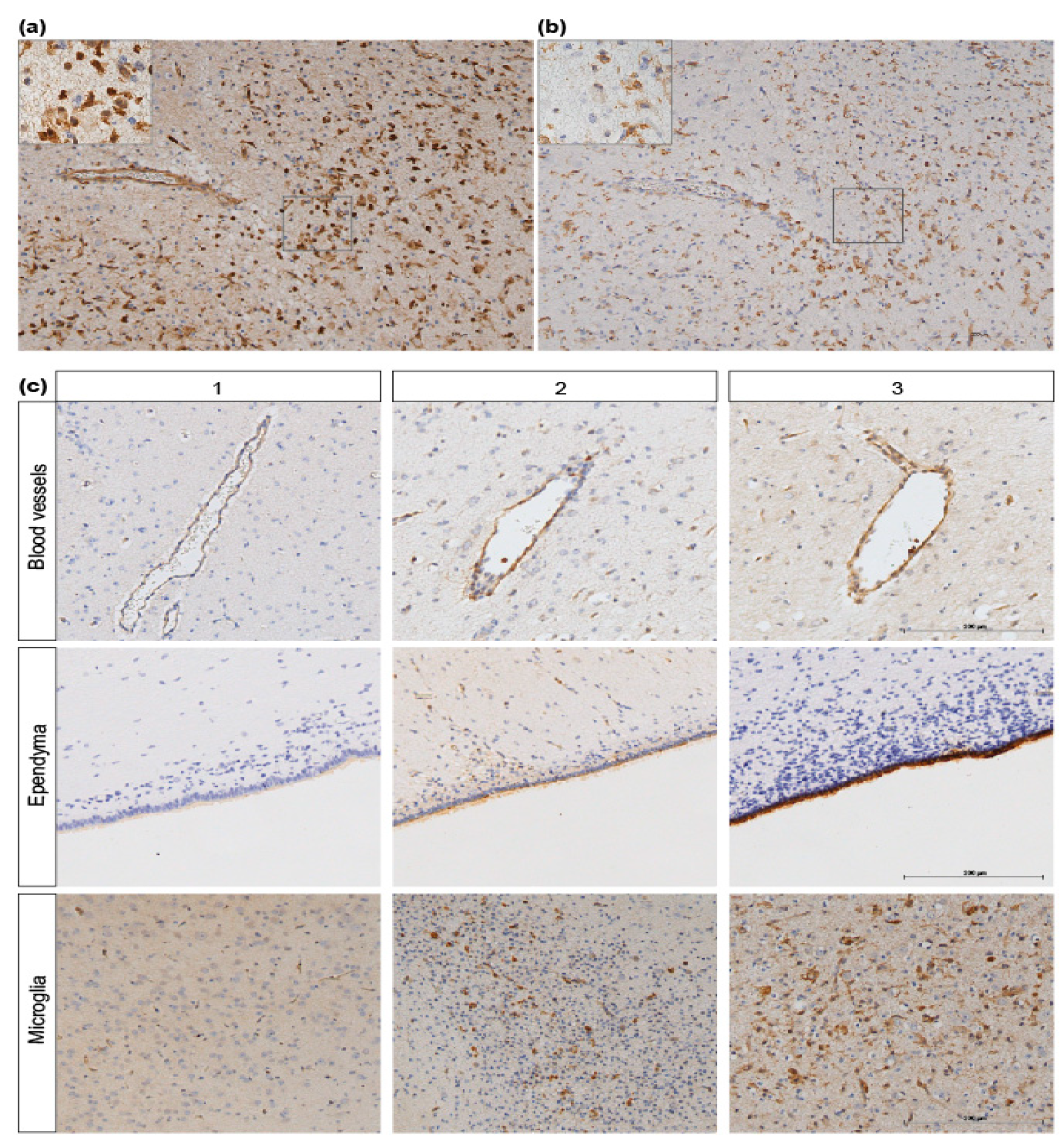 Jcm 08 00137 g002 Jcm 08 00137 g002