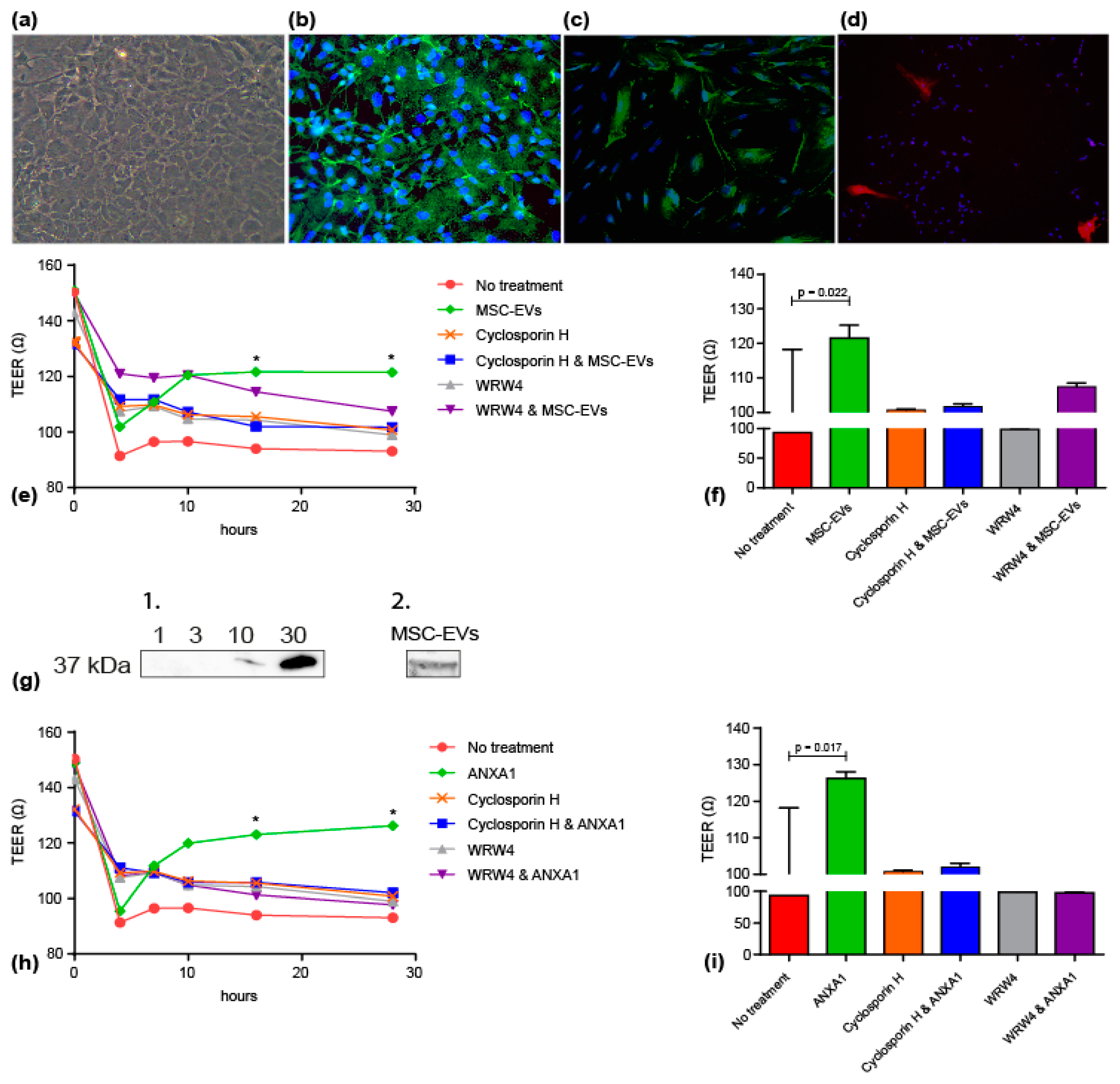 Jcm 08 00137 g004 Jcm 08 00137 g004
