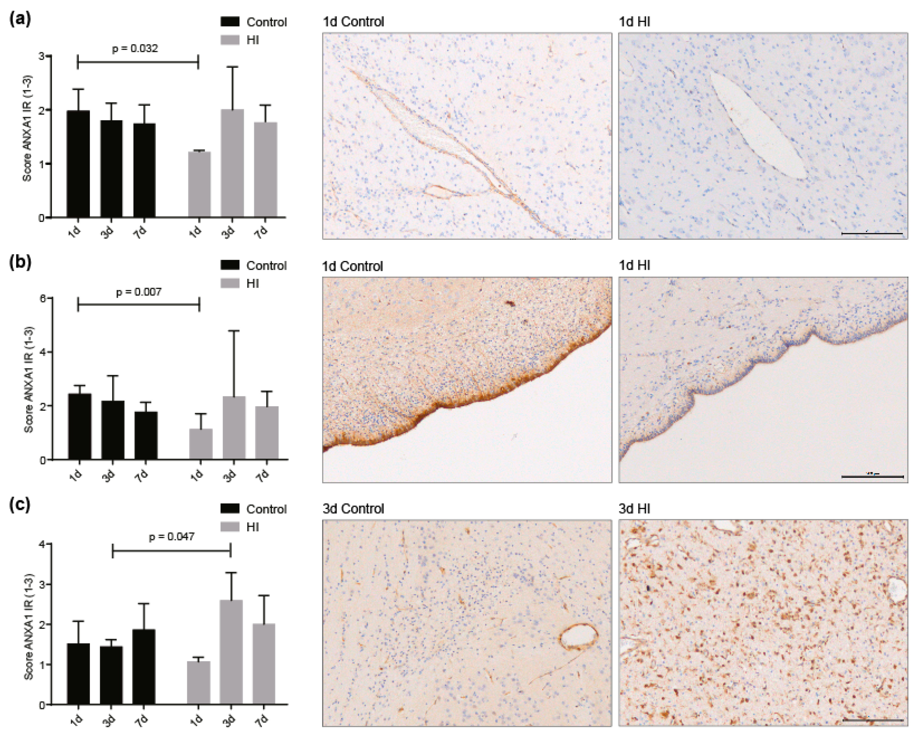 Jcm 08 00137 g005 Jcm 08 00137 g005