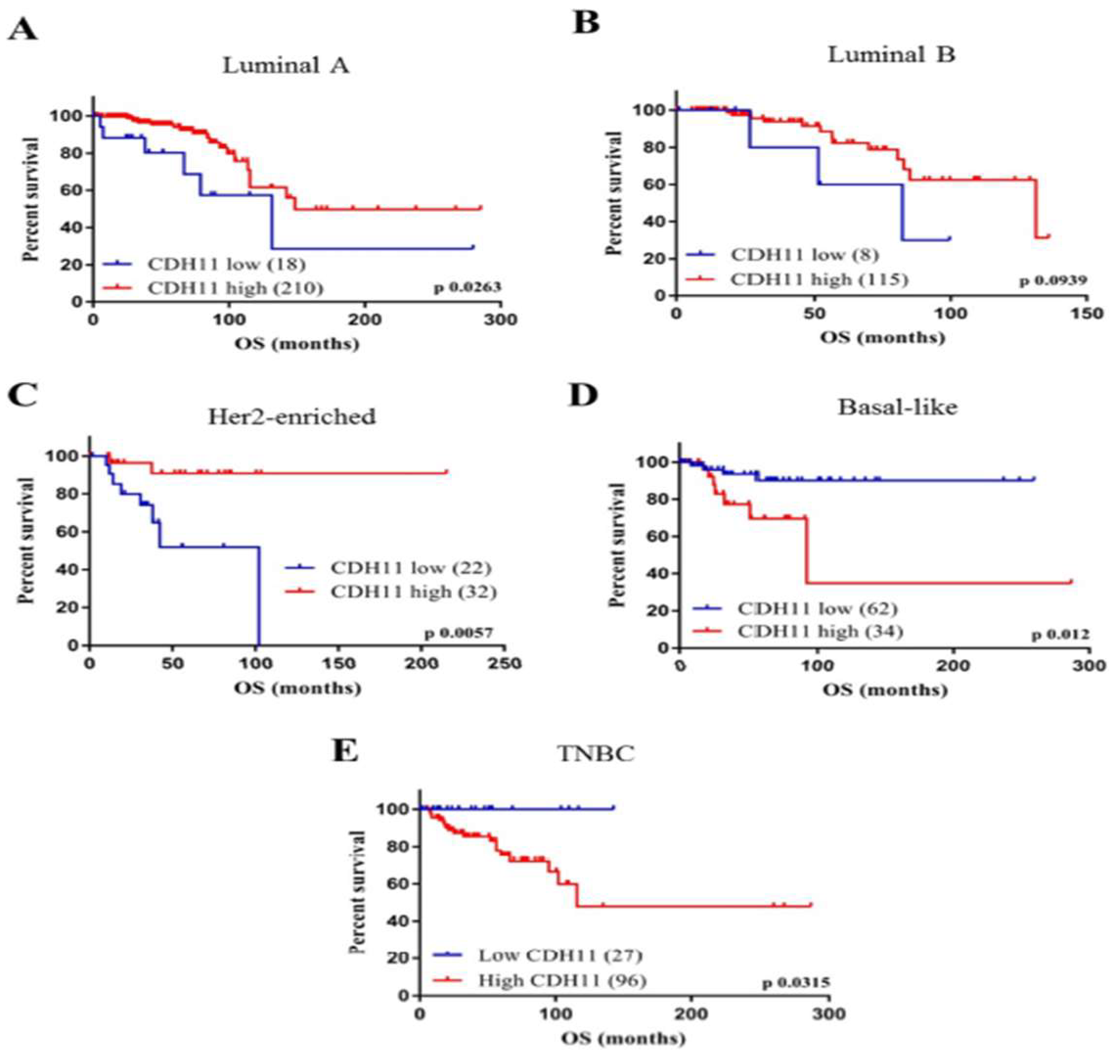 Jcm 08 00148 g001 Jcm 08 00148 g001