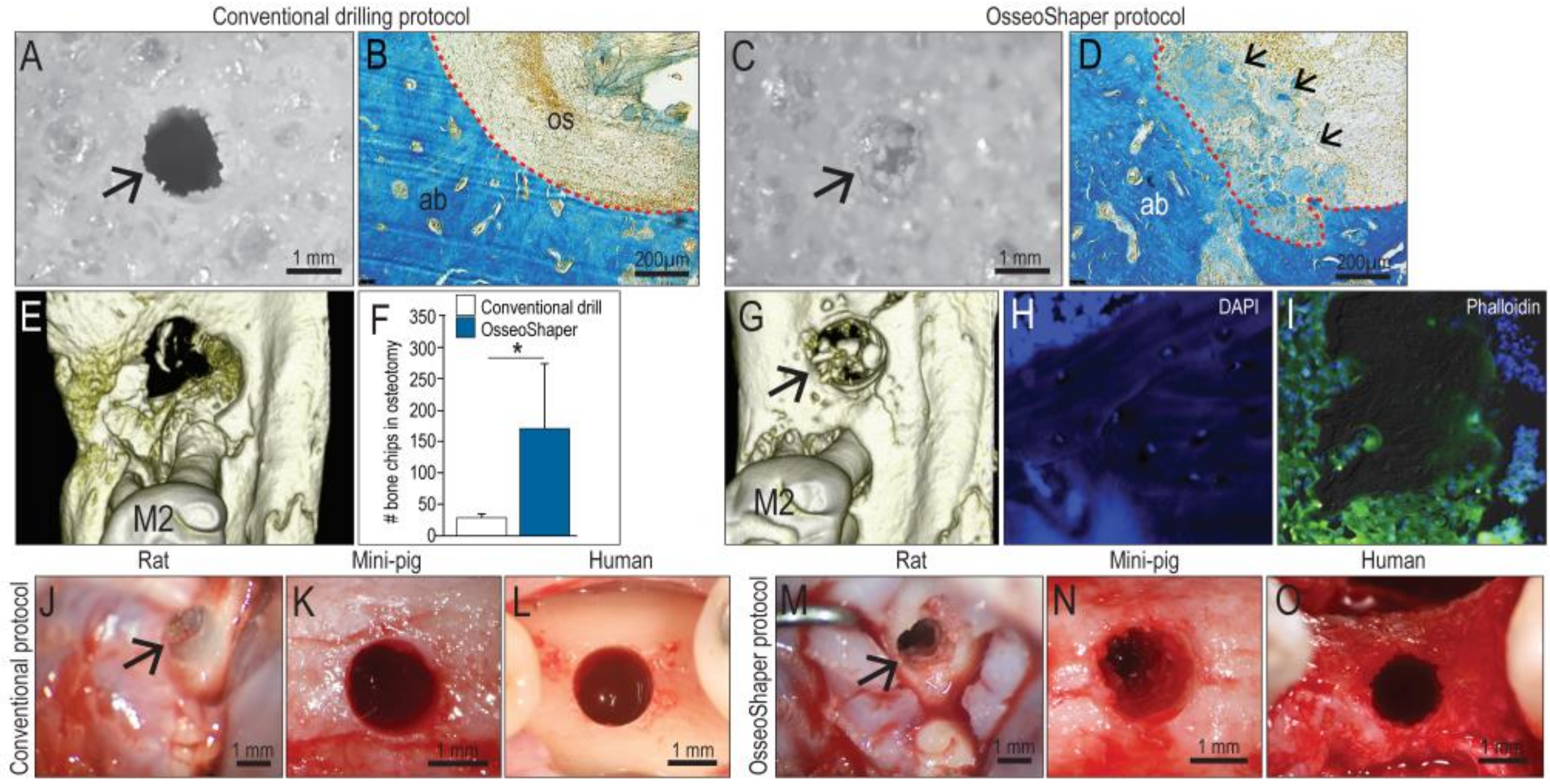 Jcm 08 00170 g002 550