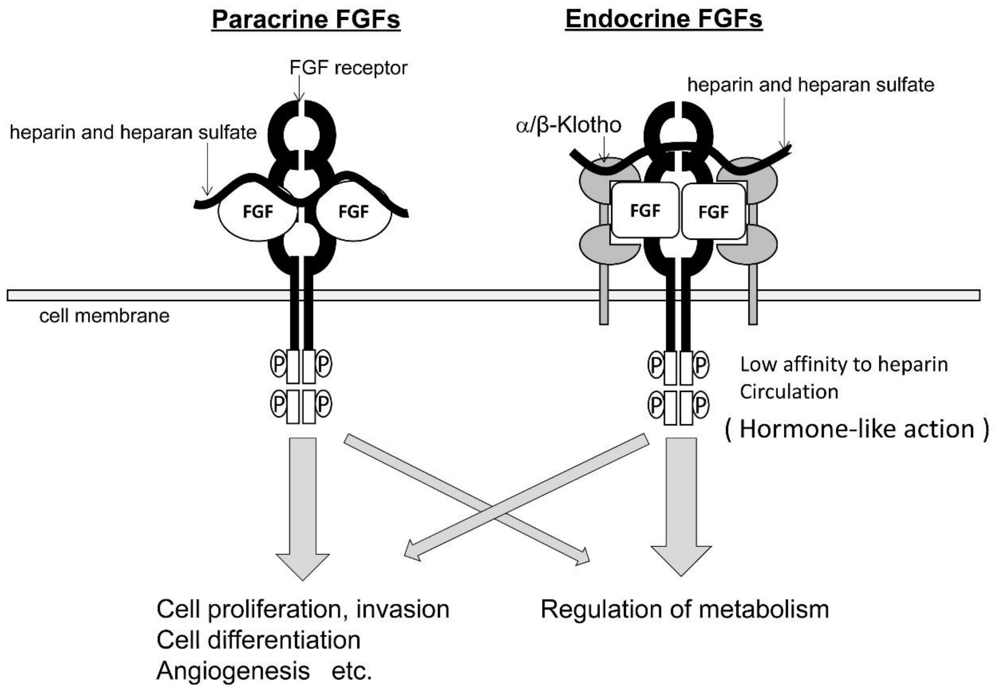 Jcm 08 00183 g002 Jcm 08 00183 g002