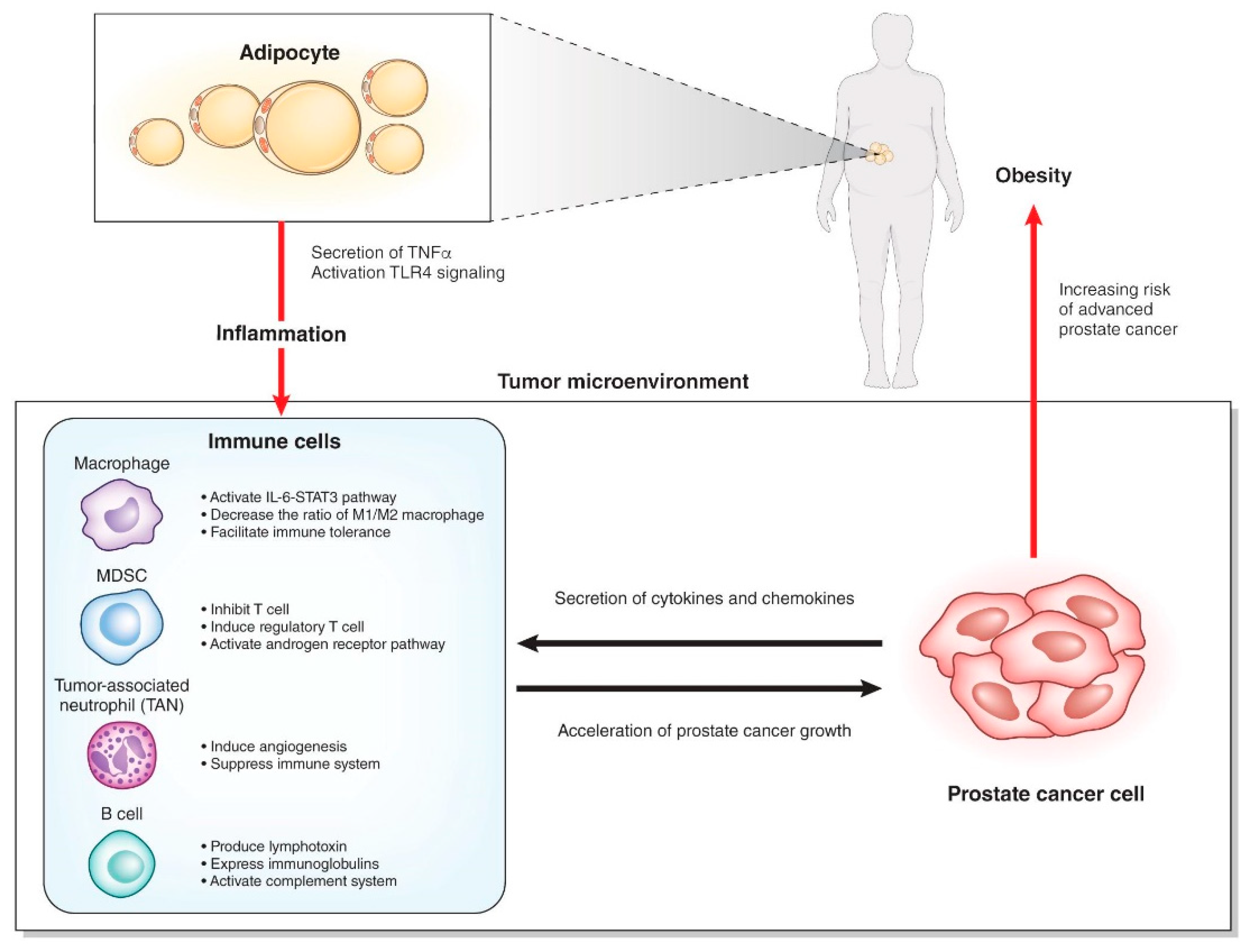 Sinusit a prostatitis alatt