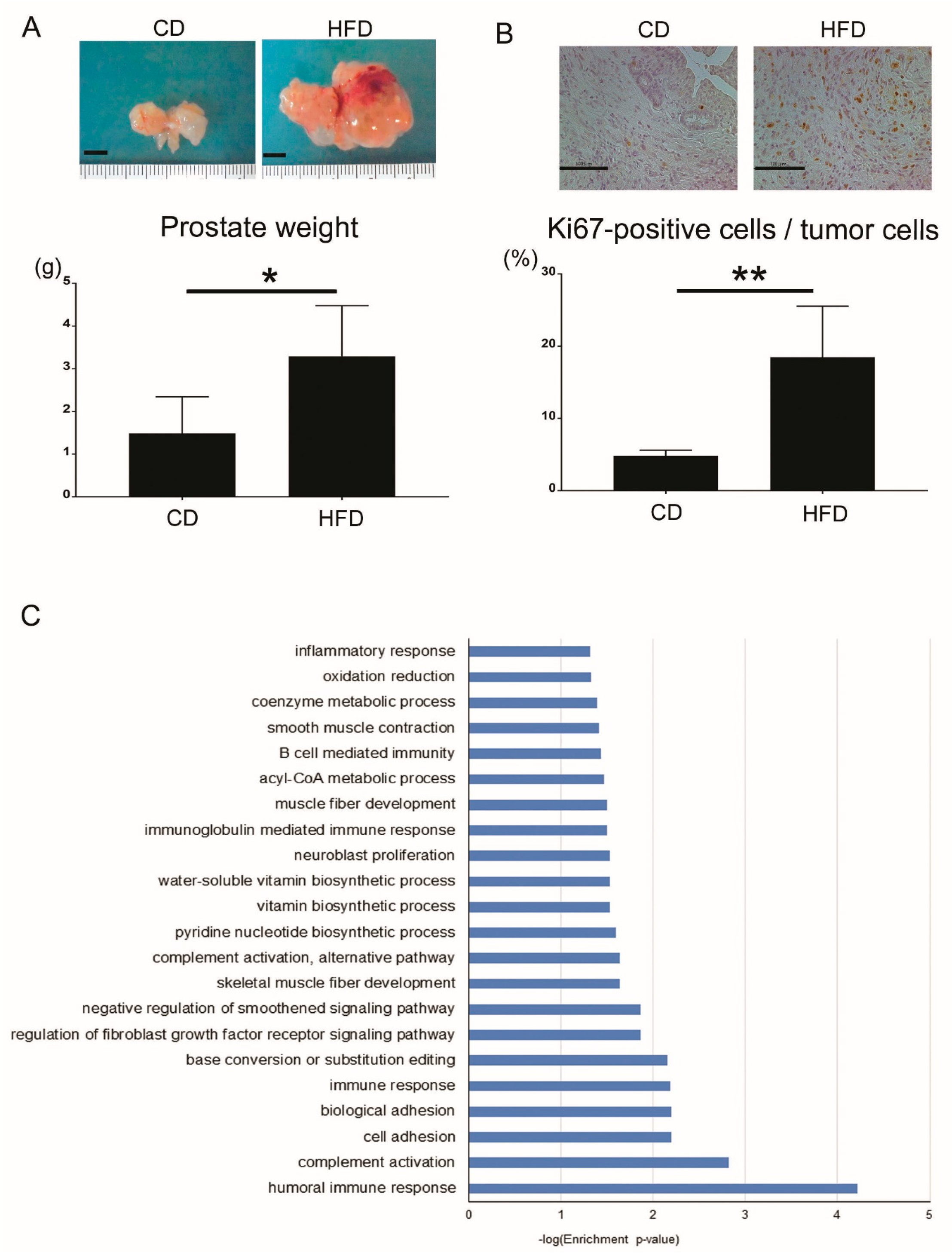 Jcm 08 00201 g003 550
