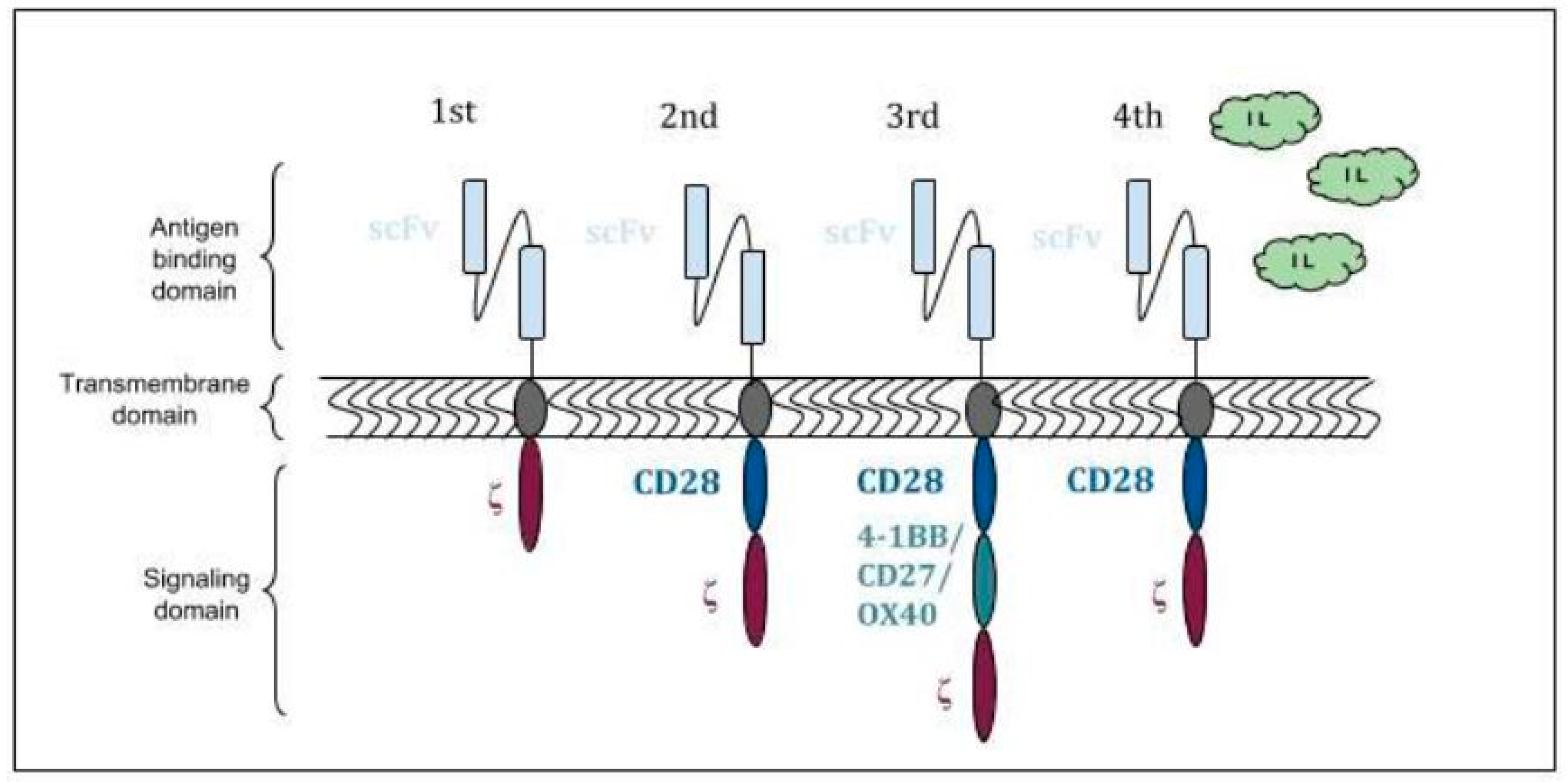 Jcm Free Full Text Chimeric Antigen Receptor T Cells The Future Is Now Html