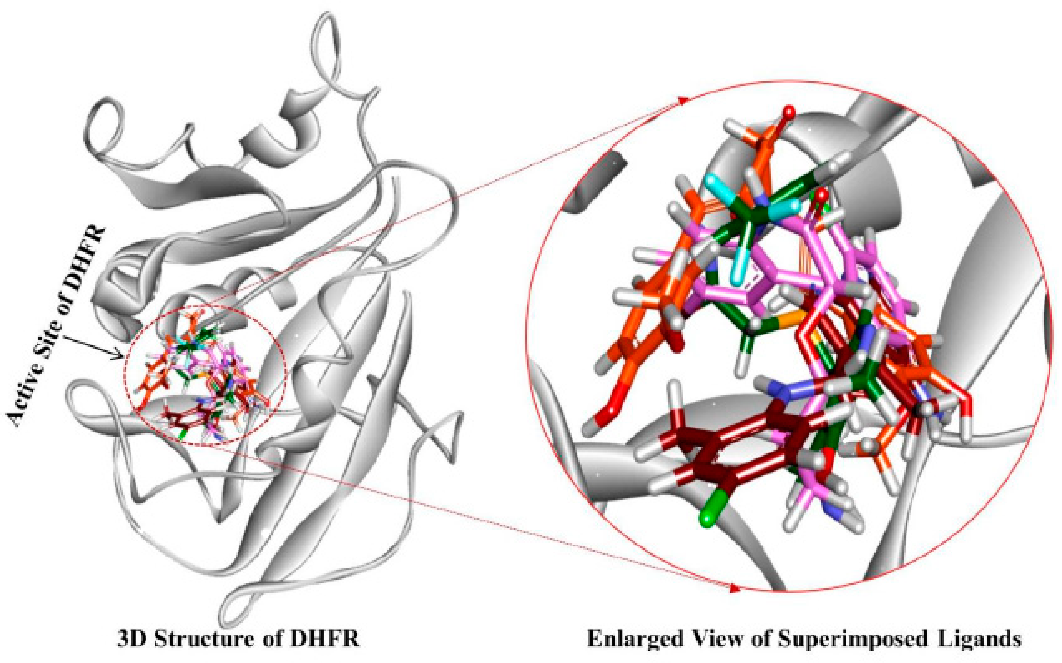 Jcm 08 00233 g008 Jcm 08 00233 g008