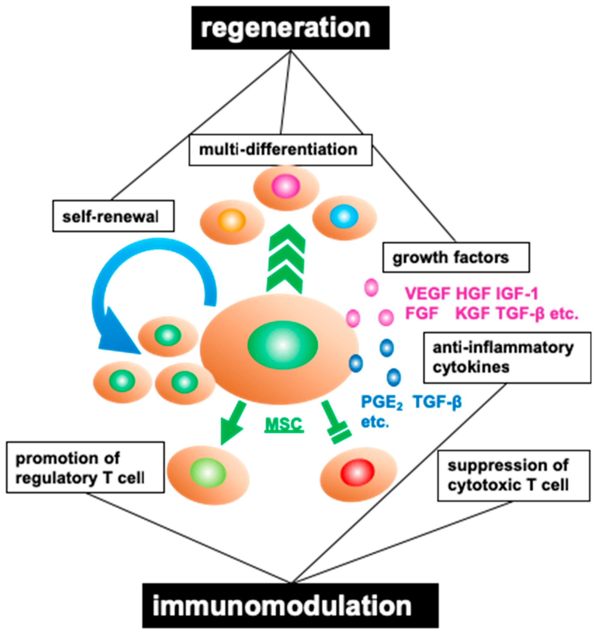 diabétesz kezelésében 1 type stem cells izrael