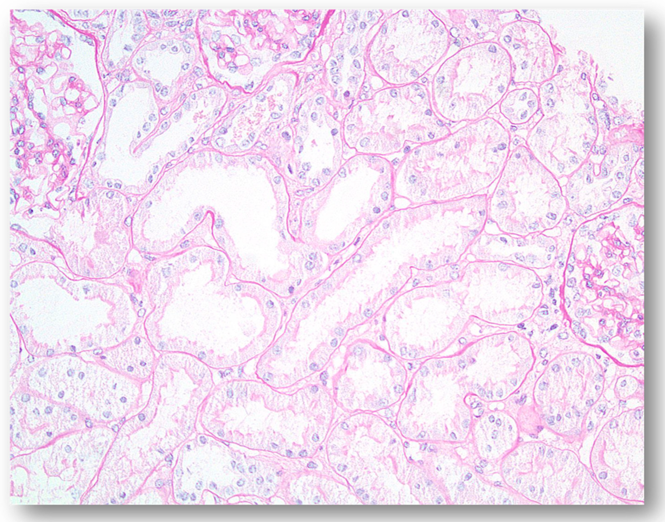 Jcm 08 00267 g002 550