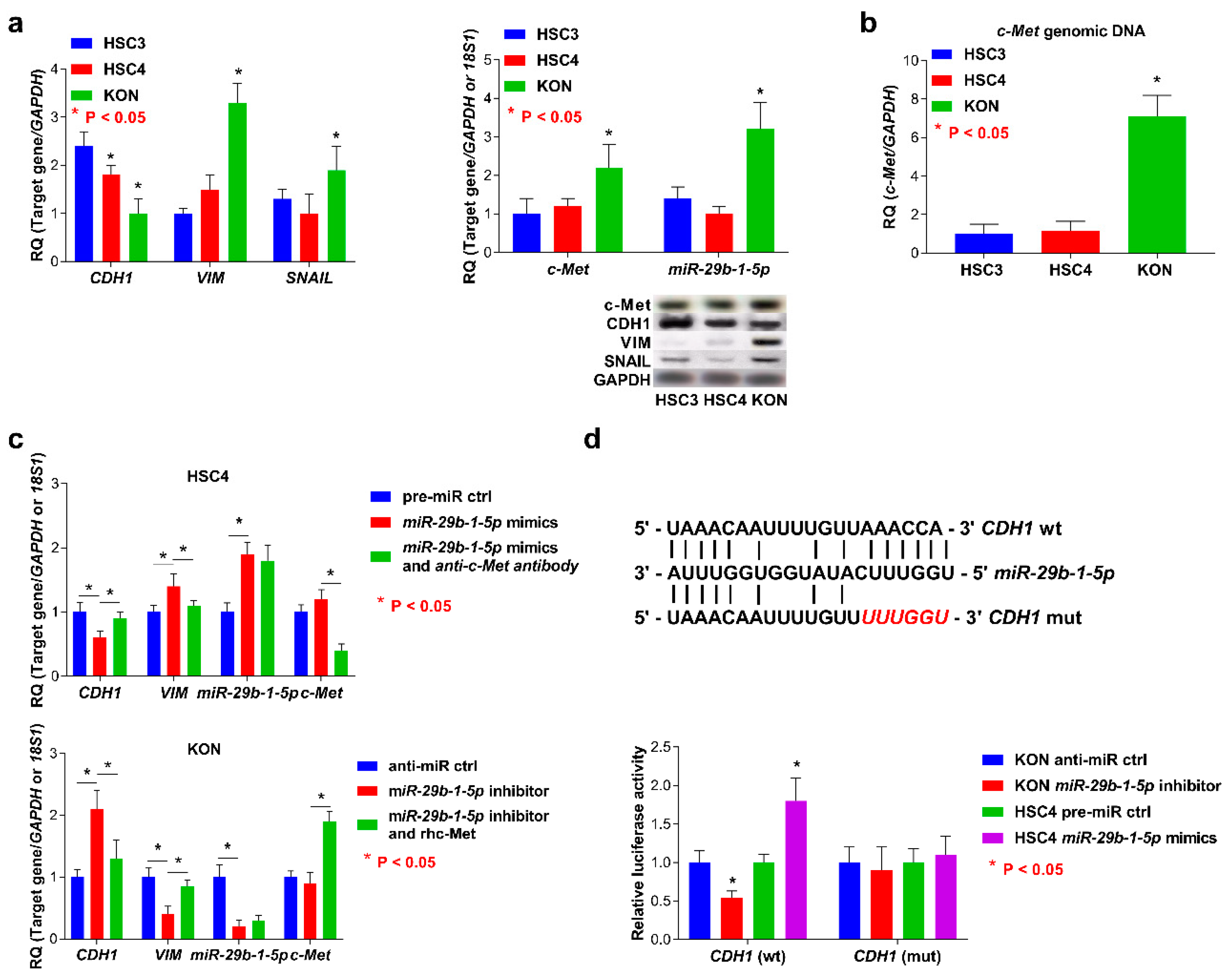 Jcm 08 00273 g003 Jcm 08 00273 g003