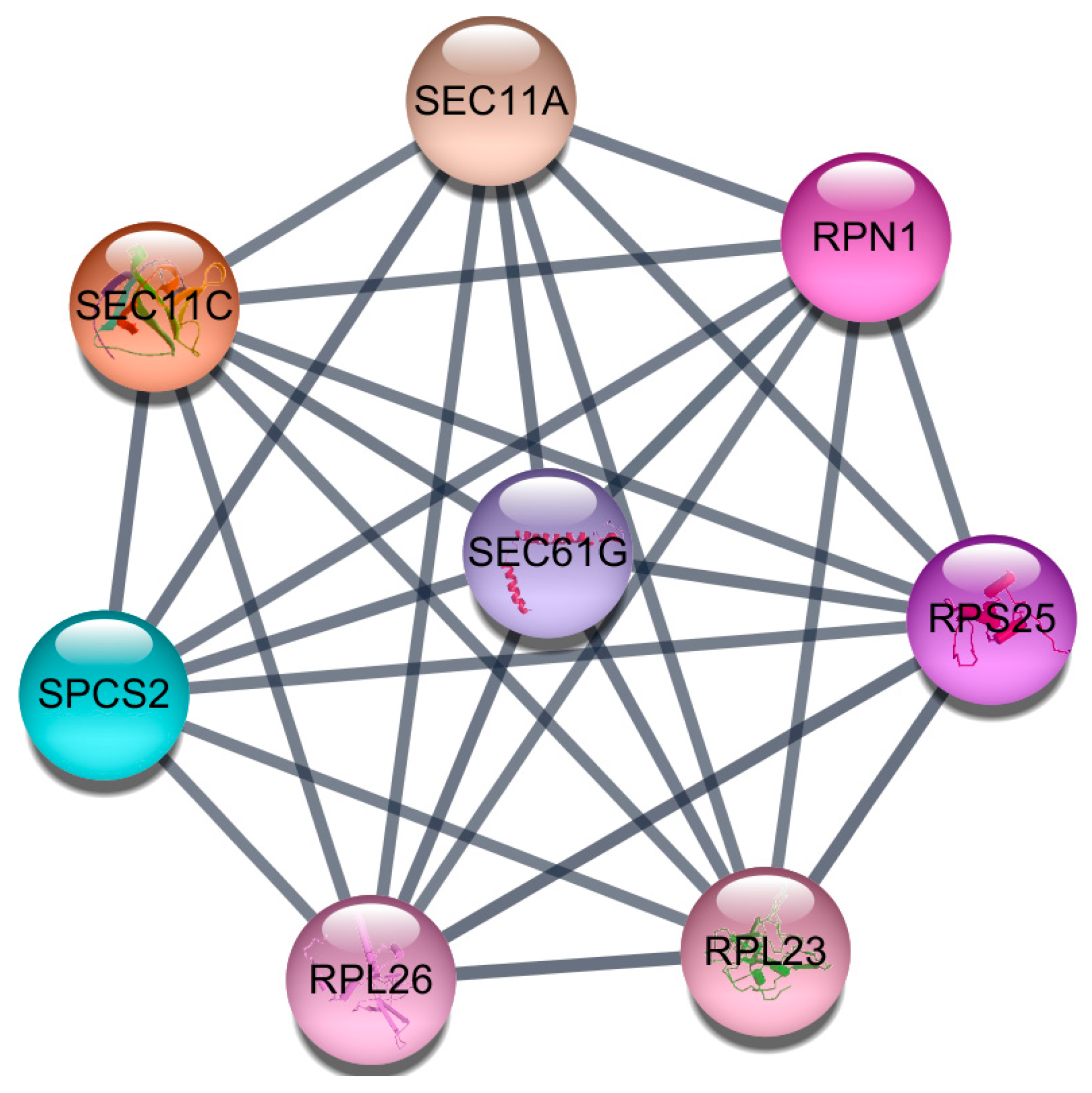 Jcm 08 00297 g001 Jcm 08 00297 g001