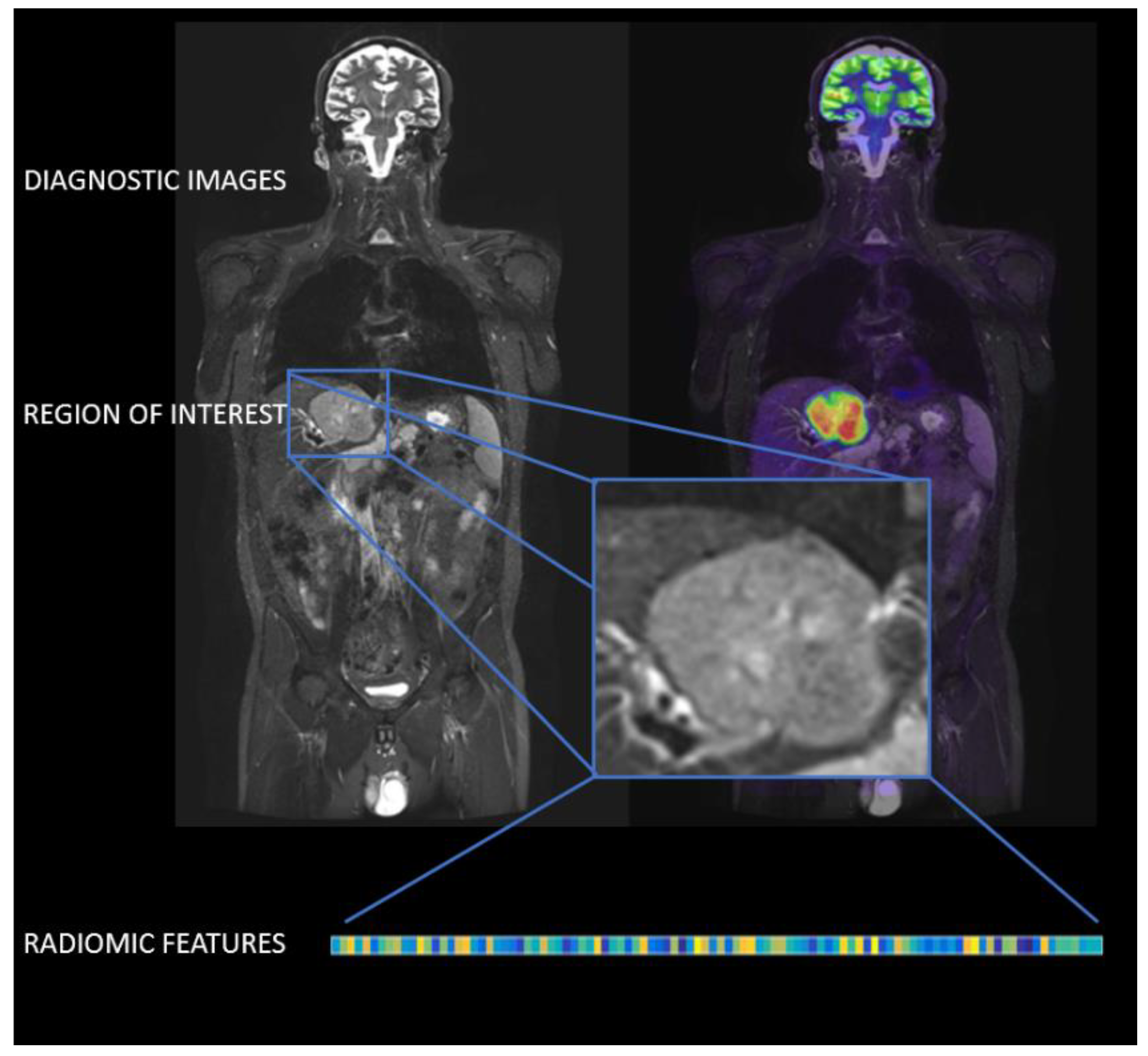 Jcm 08 00316 g002 Jcm 08 00316 g002