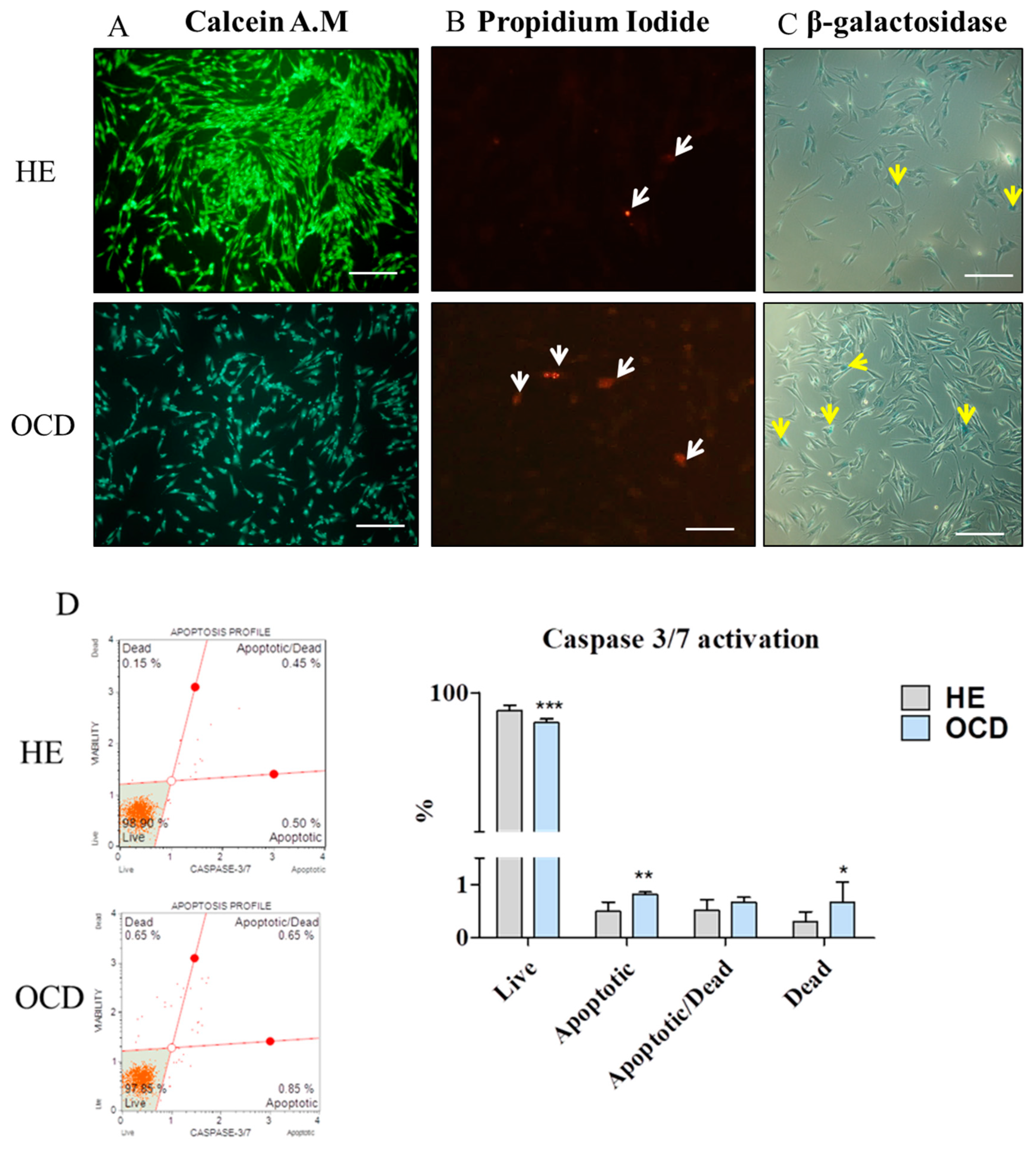 Jcm 08 00328 g003a Jcm 08 00328 g003a