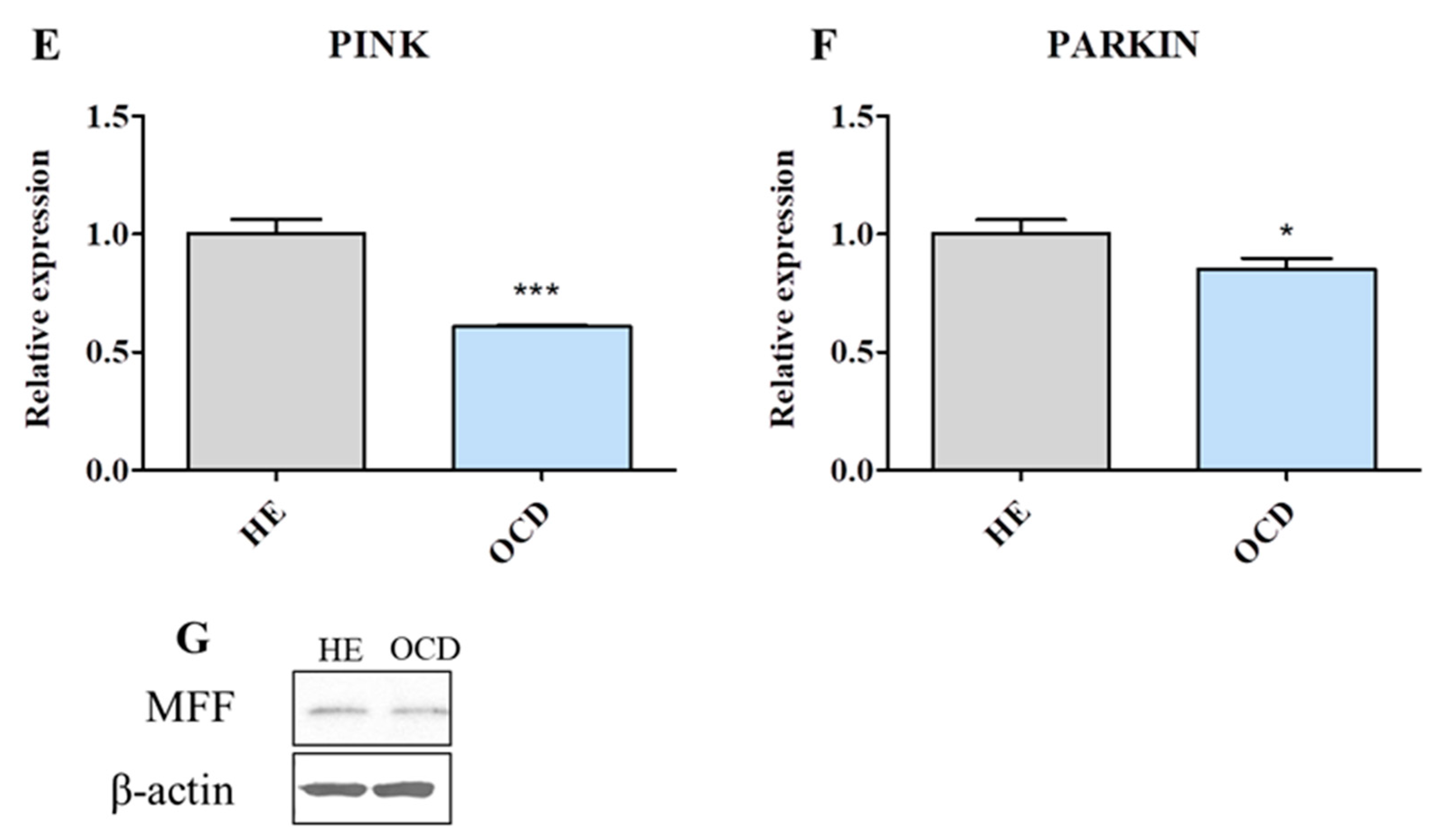 Jcm 08 00328 g006b Jcm 08 00328 g006b