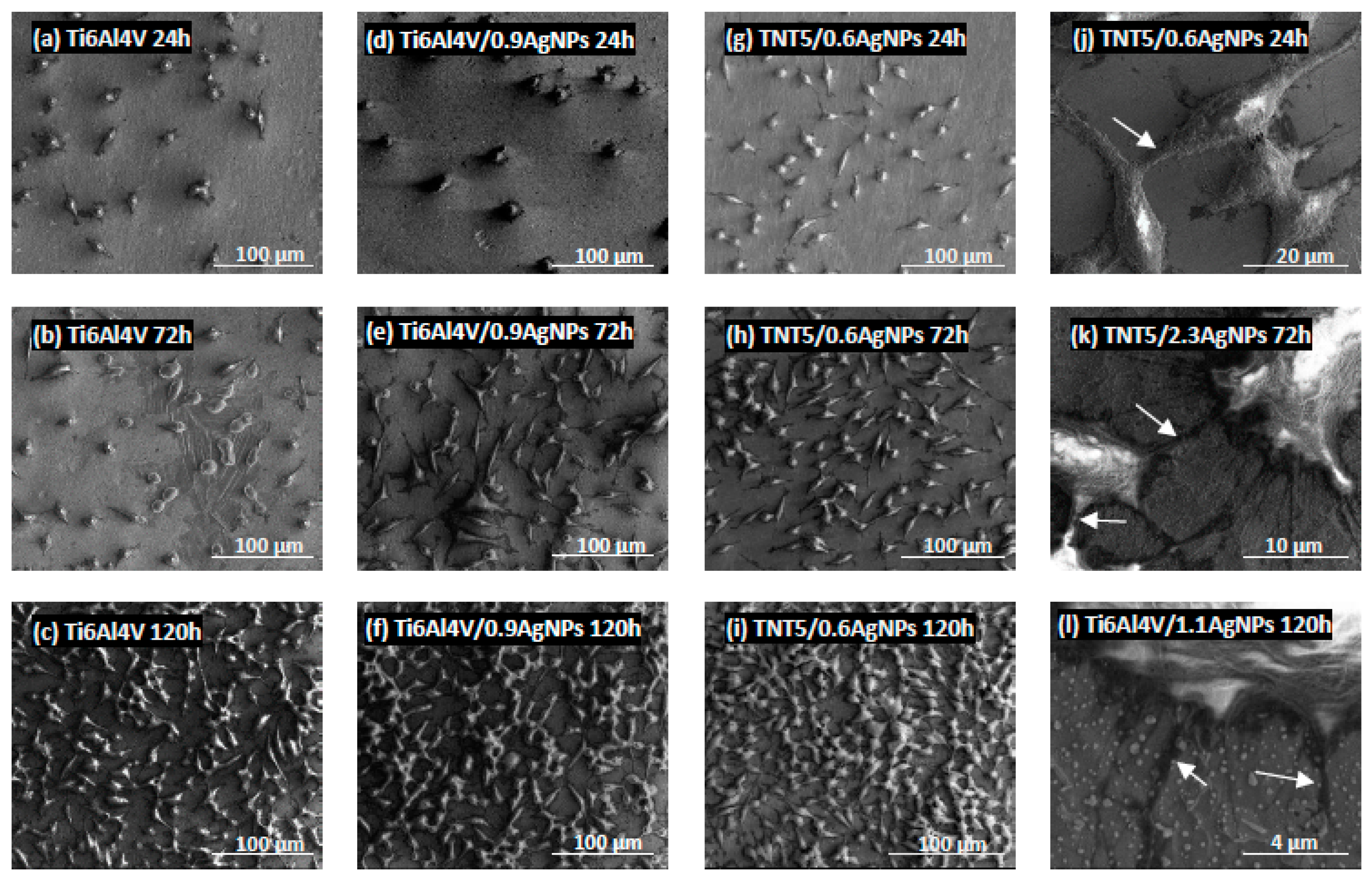 Jcm 08 00334 g010 Jcm 08 00334 g010