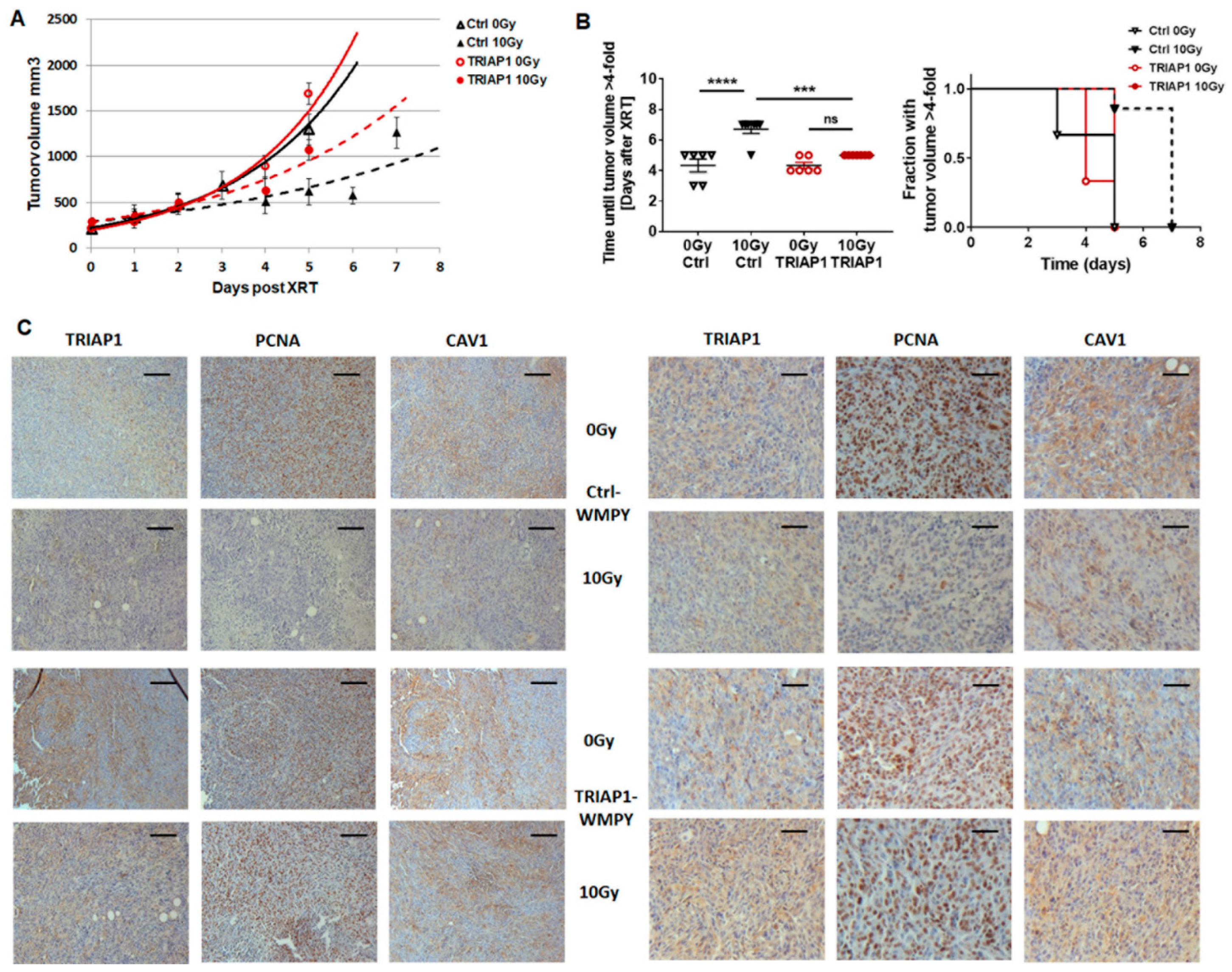 Jcm 08 00348 g004 Jcm 08 00348 g004