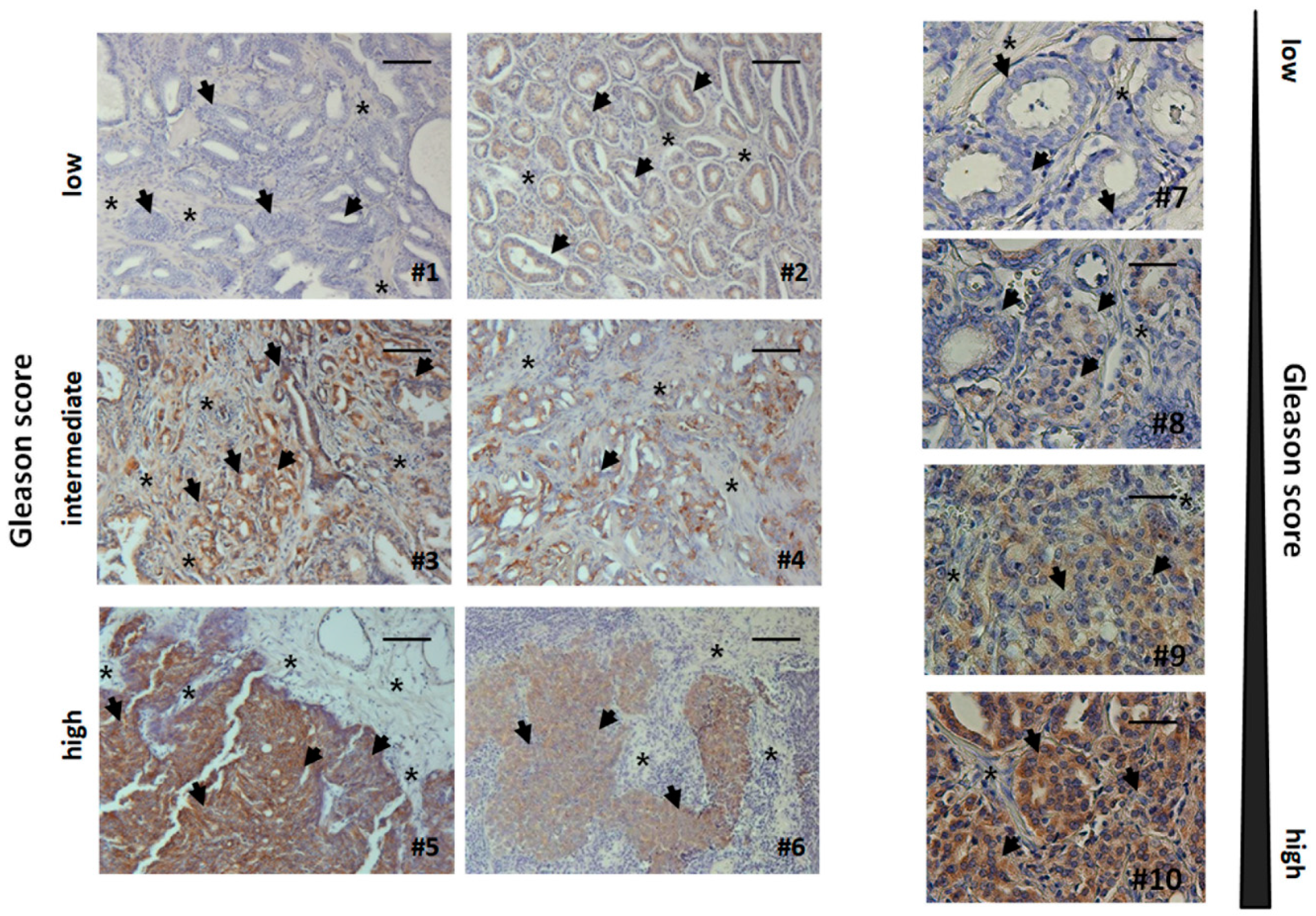 Jcm 08 00348 g005 Jcm 08 00348 g005