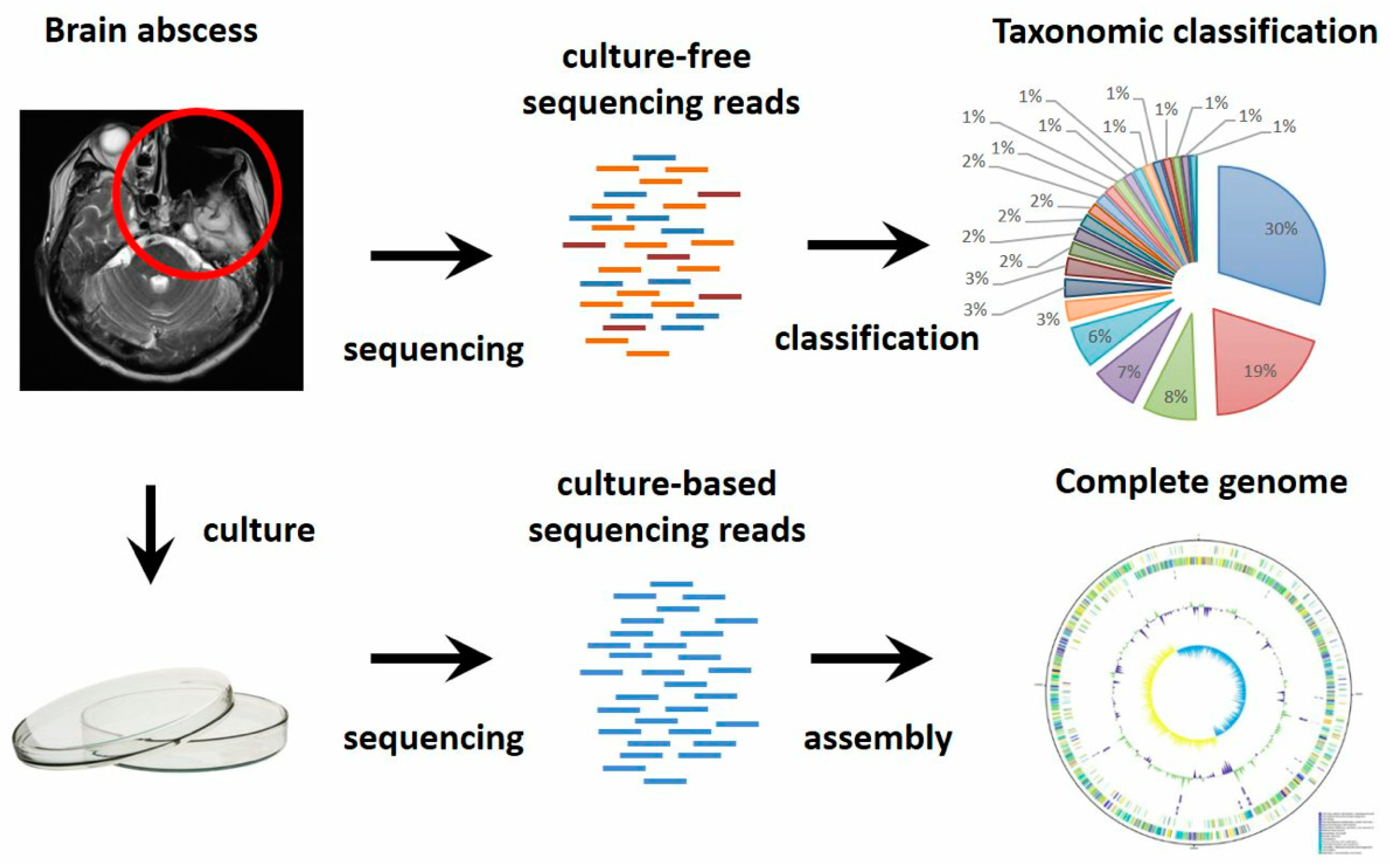 Jcm 08 00351 g002 Jcm 08 00351 g002