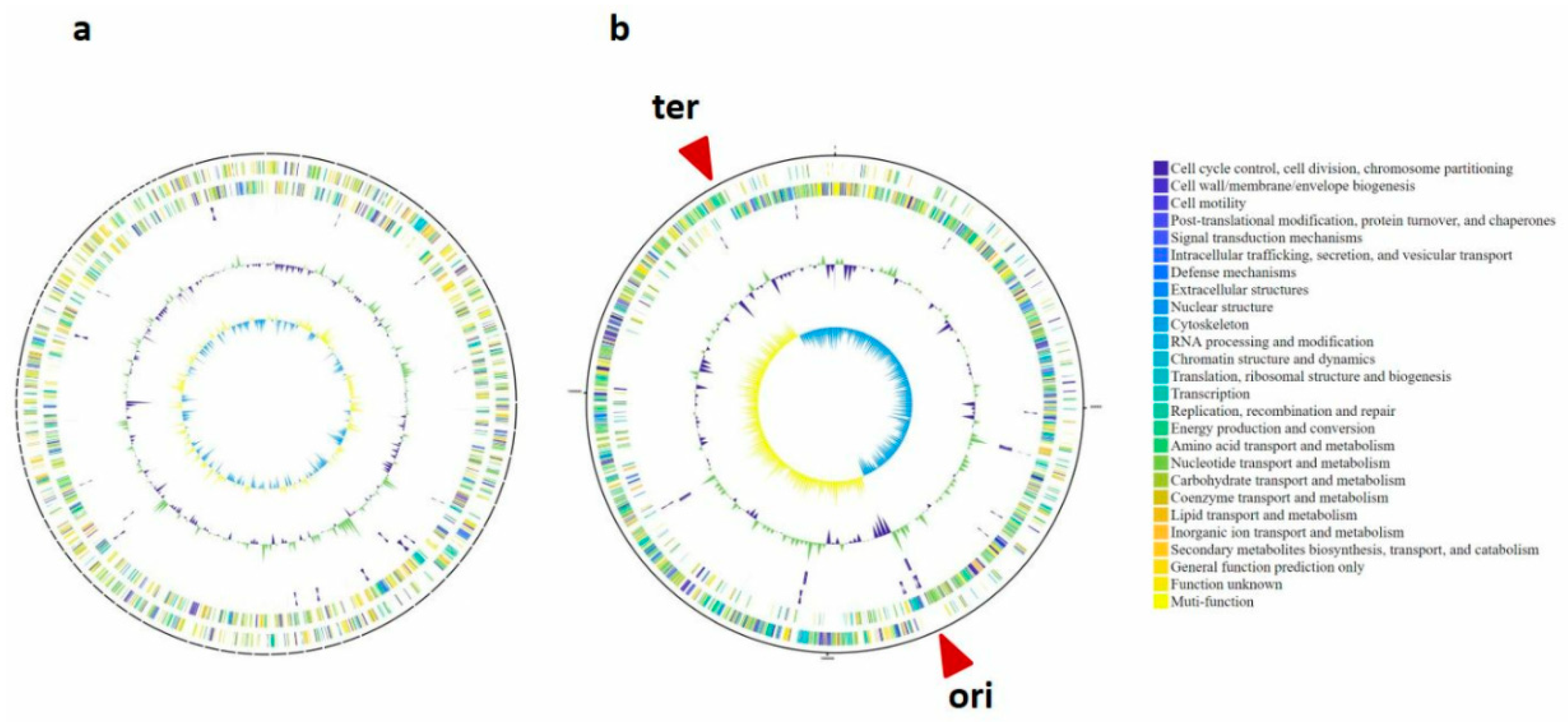 Jcm 08 00351 g003 Jcm 08 00351 g003