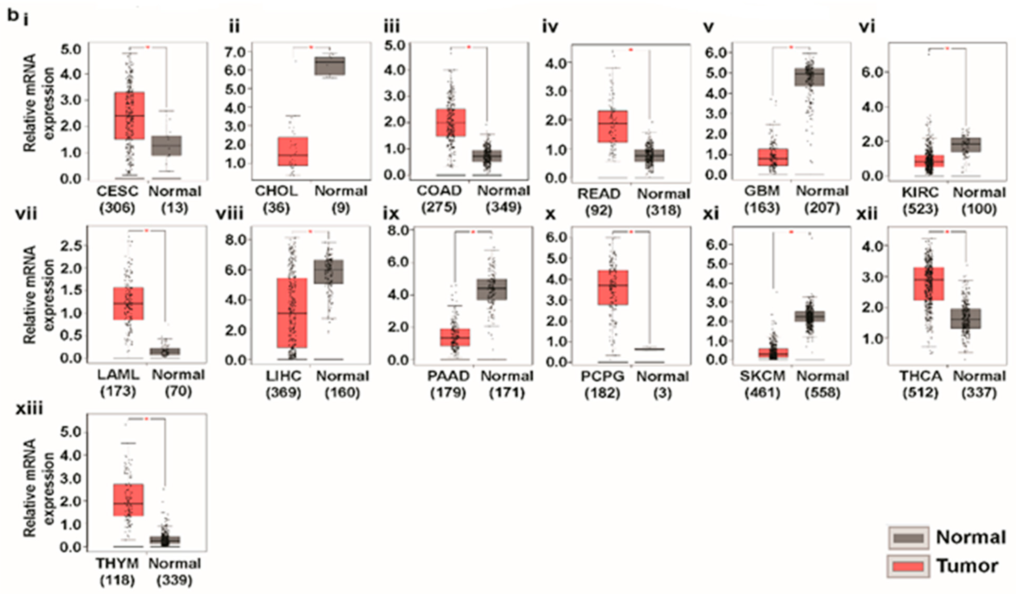 Jcm 08 00355 g003b Jcm 08 00355 g003b