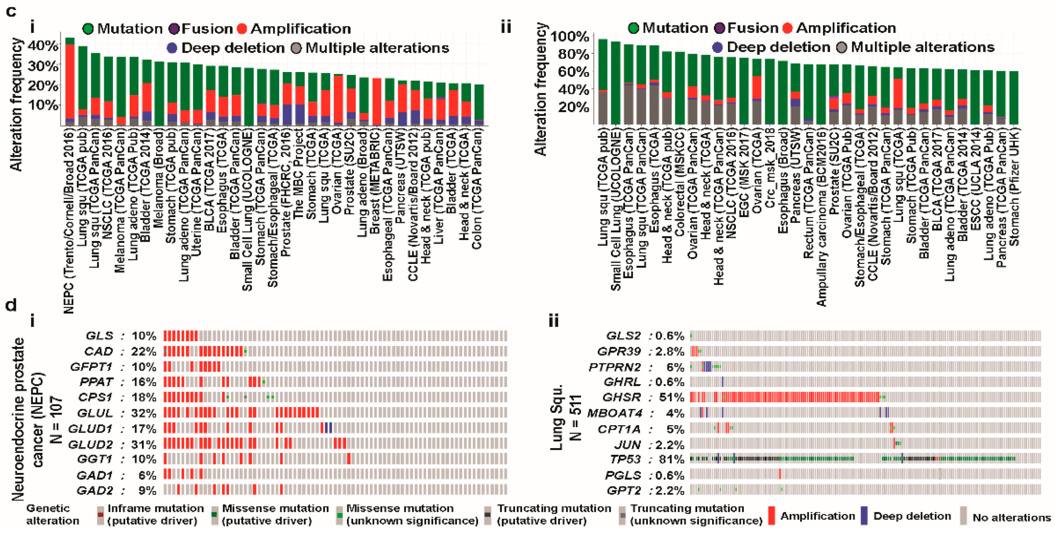 Jcm 08 00355 g005b Jcm 08 00355 g005b