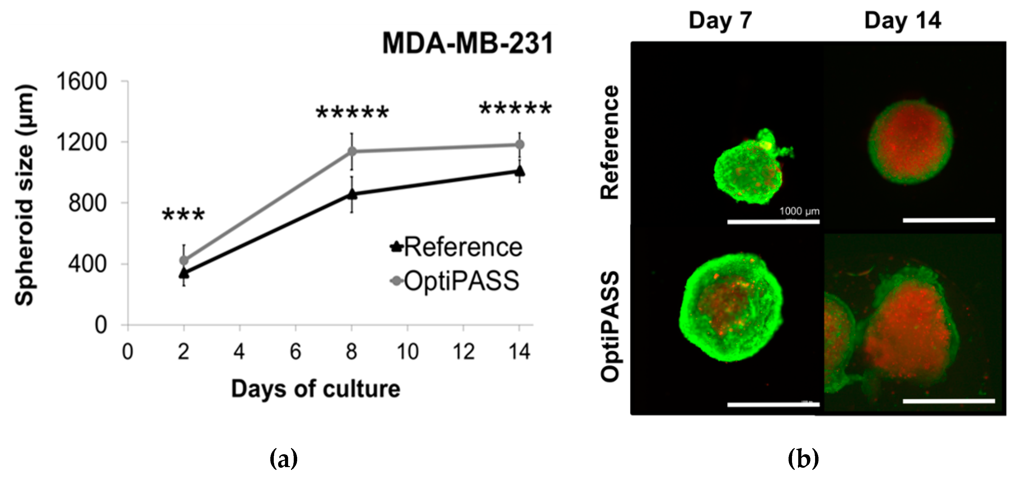 Jcm 08 00397 g003a 550