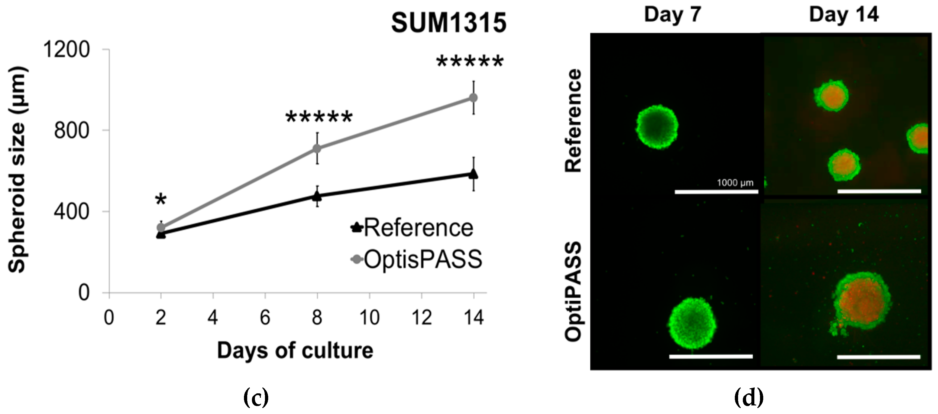 Jcm 08 00397 g003b 550
