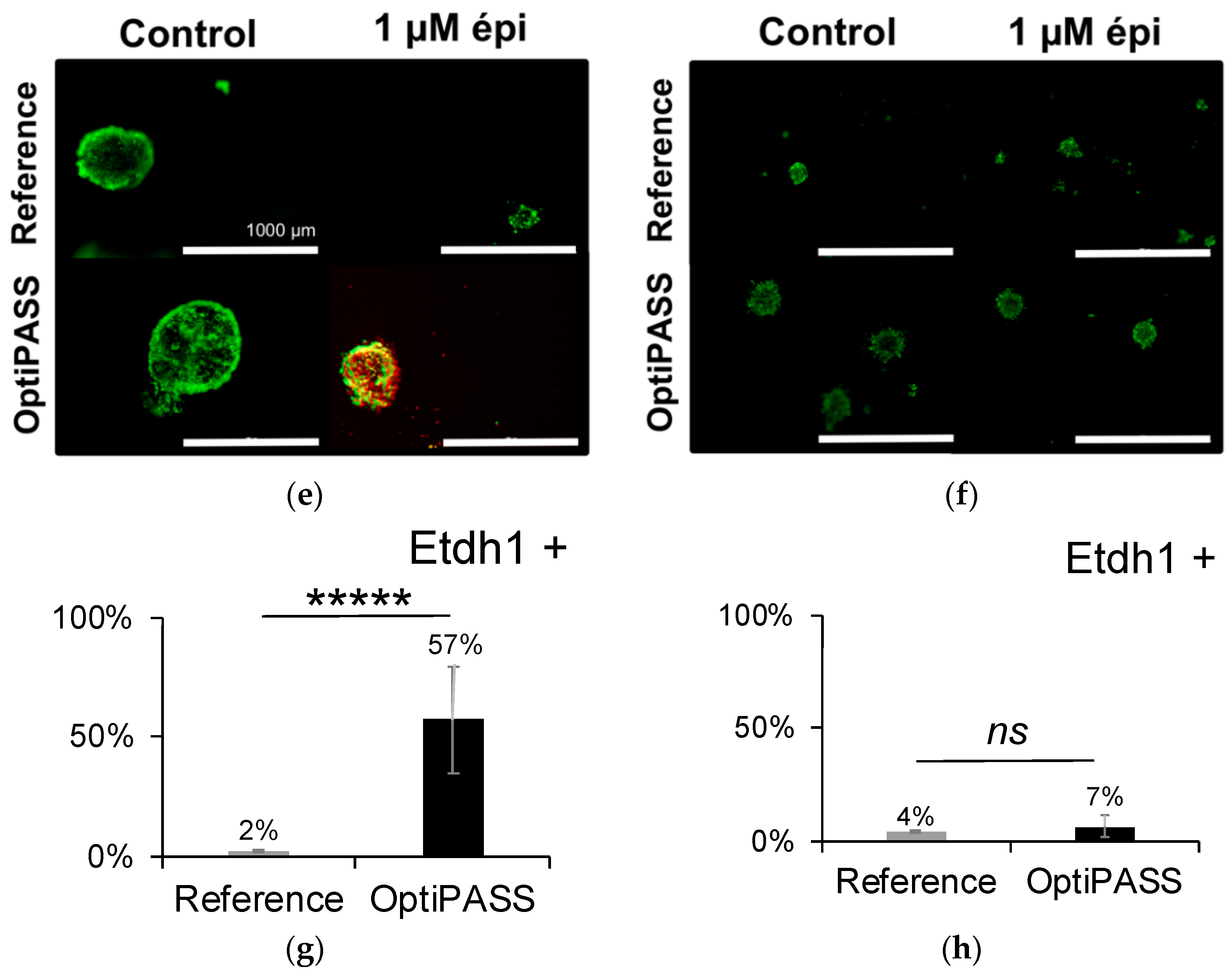 Jcm 08 00397 g004b 550