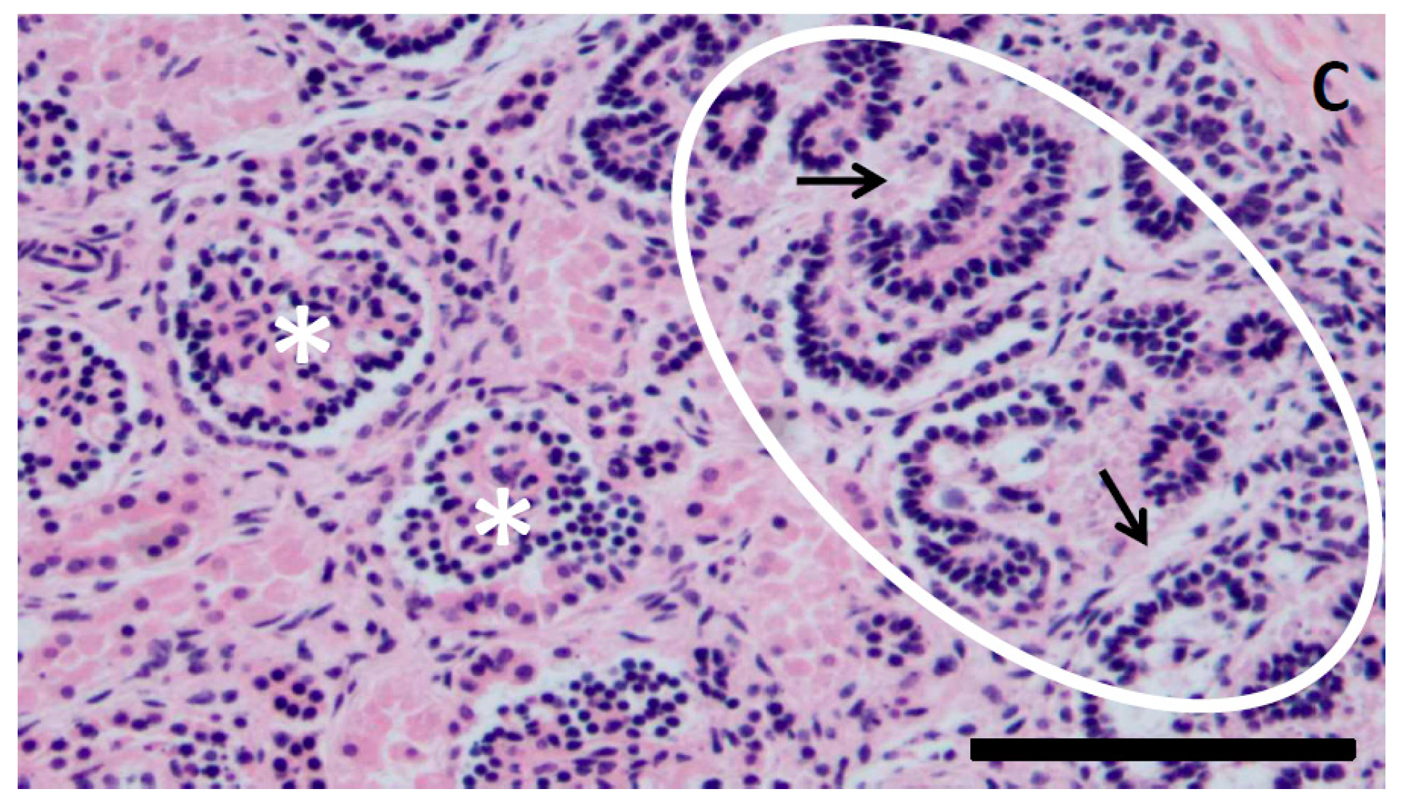 Jcm 08 00407 g001
